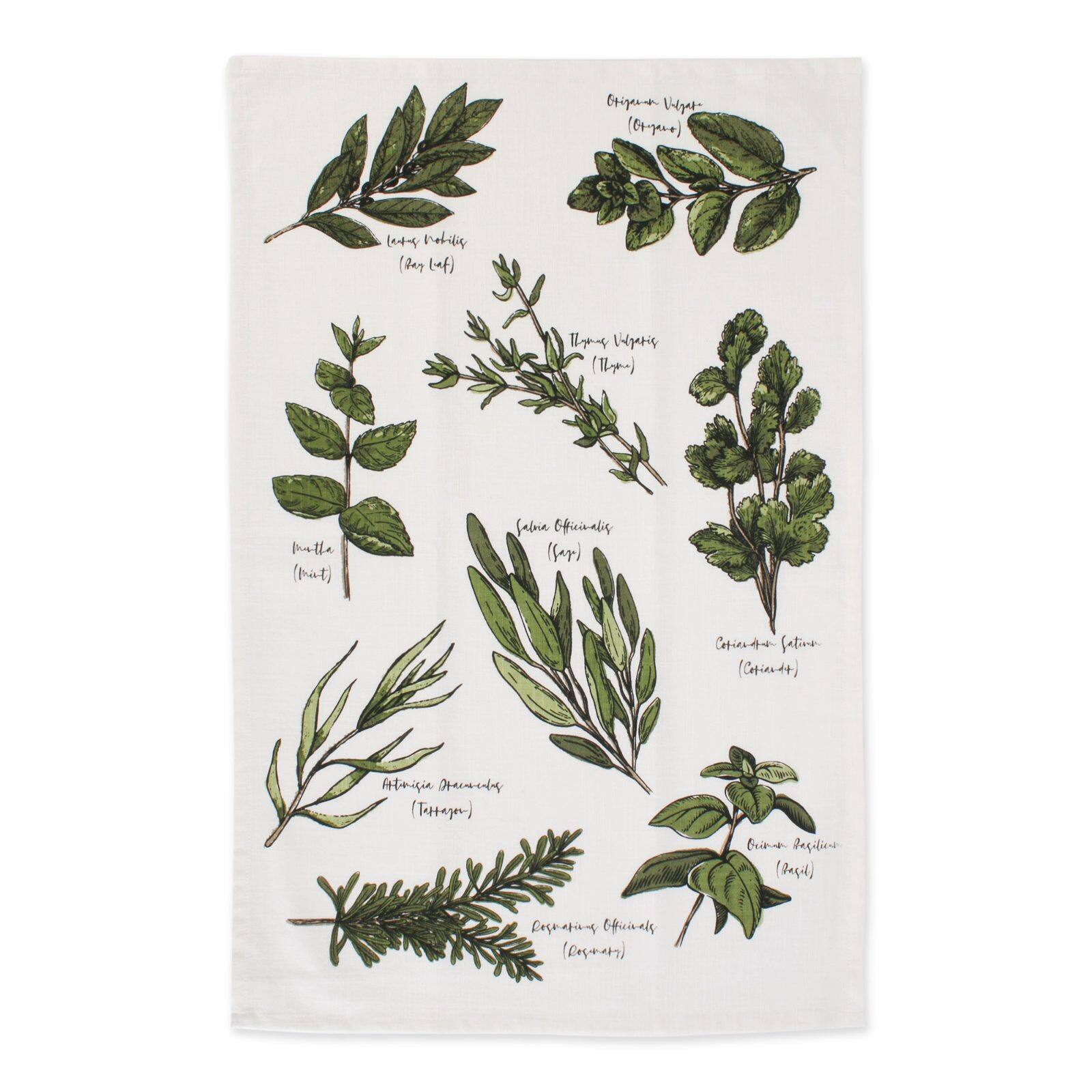 DII® Fresh Herbs Kitchen Set