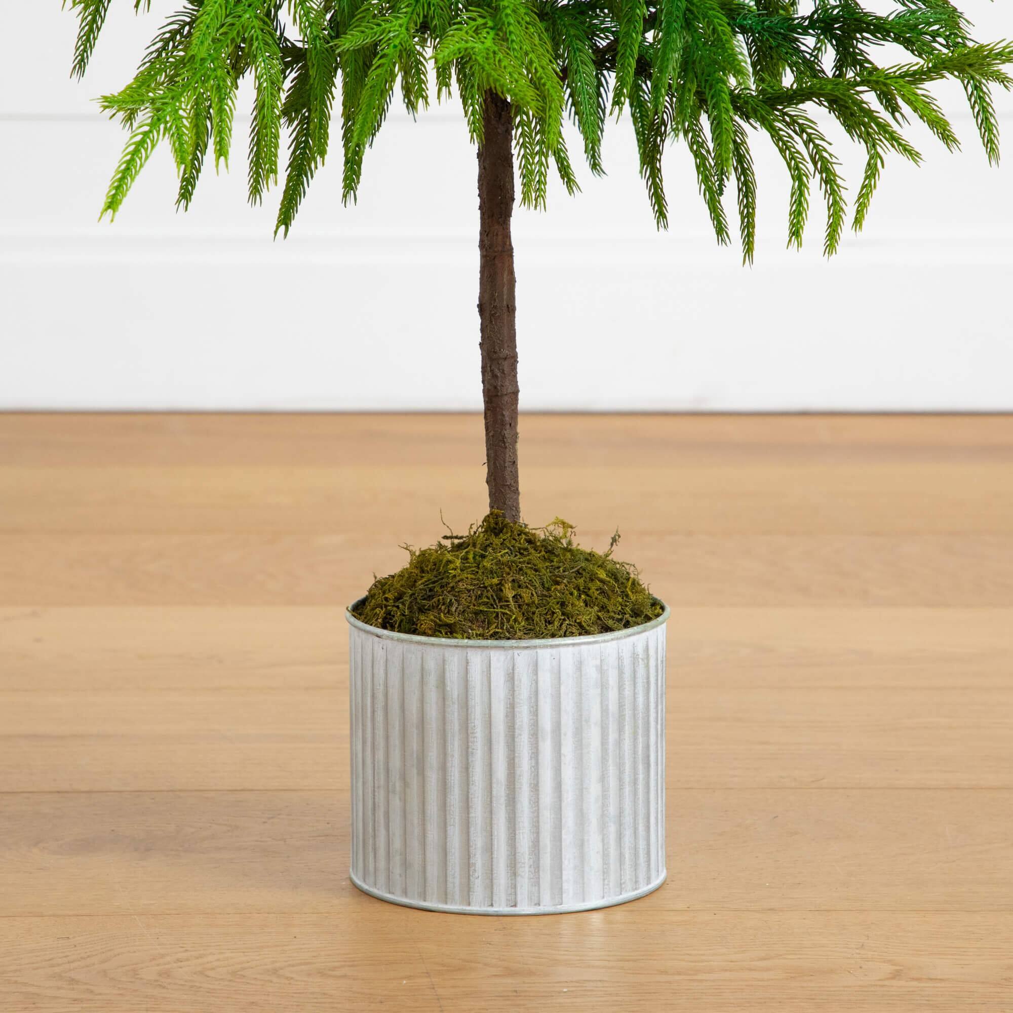 3ft. Unlit Real Touch Norfolk Island Pine Artificial Christmas Tree in Metal Planter