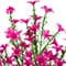 26" Mini Flower Spray Stem by Ashland®