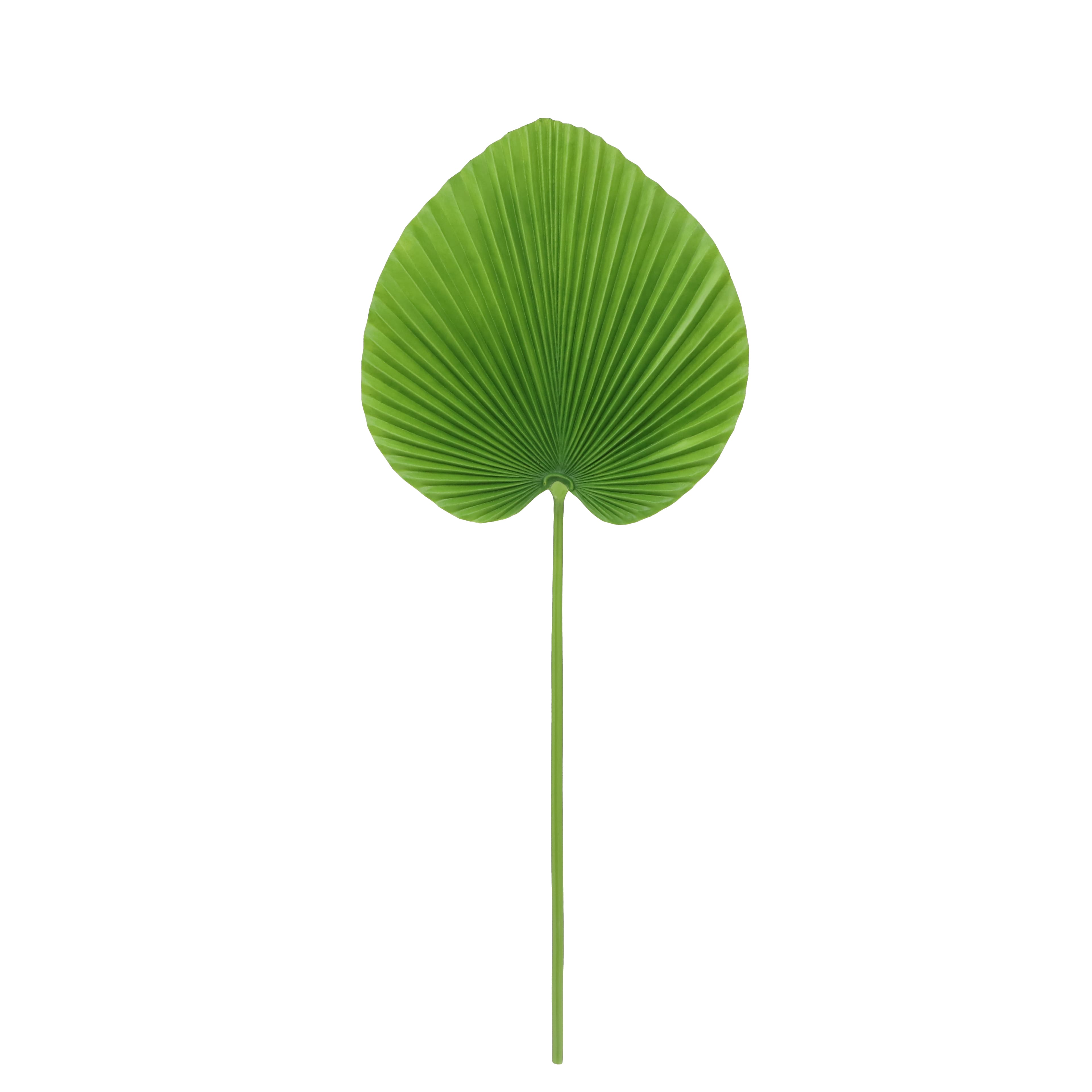 31" Green Palm Stem by Ashland®