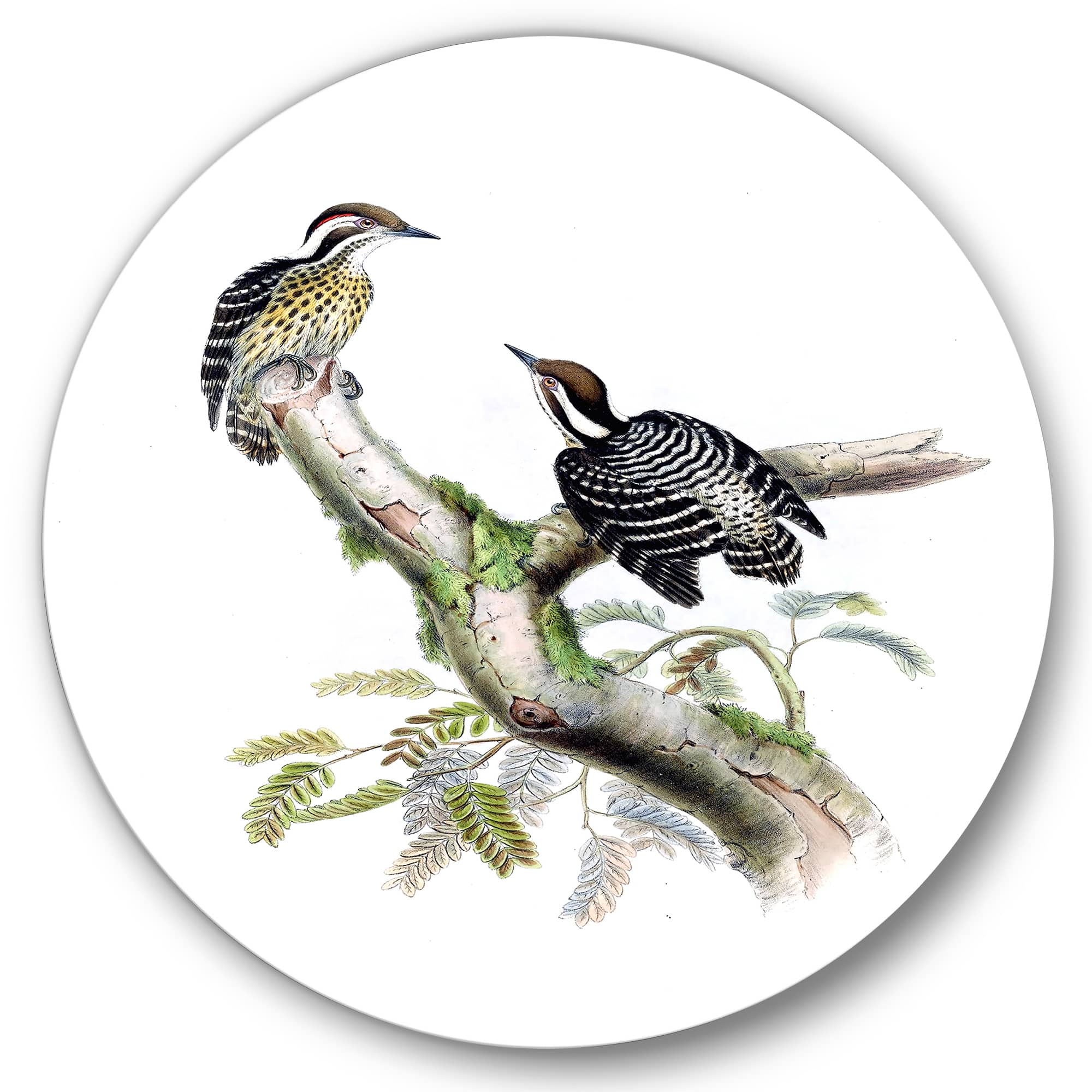 Designart - Vintage Birds In The Wild VIII - Traditional Metal Circle Wall Art