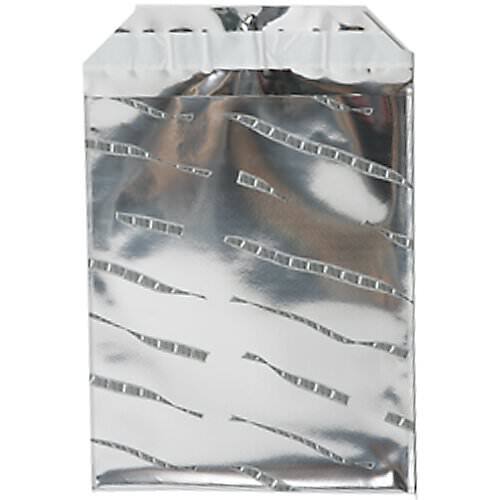 JAM Paper 6.25" x 7.875" Open End Foil Envelopes with Self Adhesive Closure