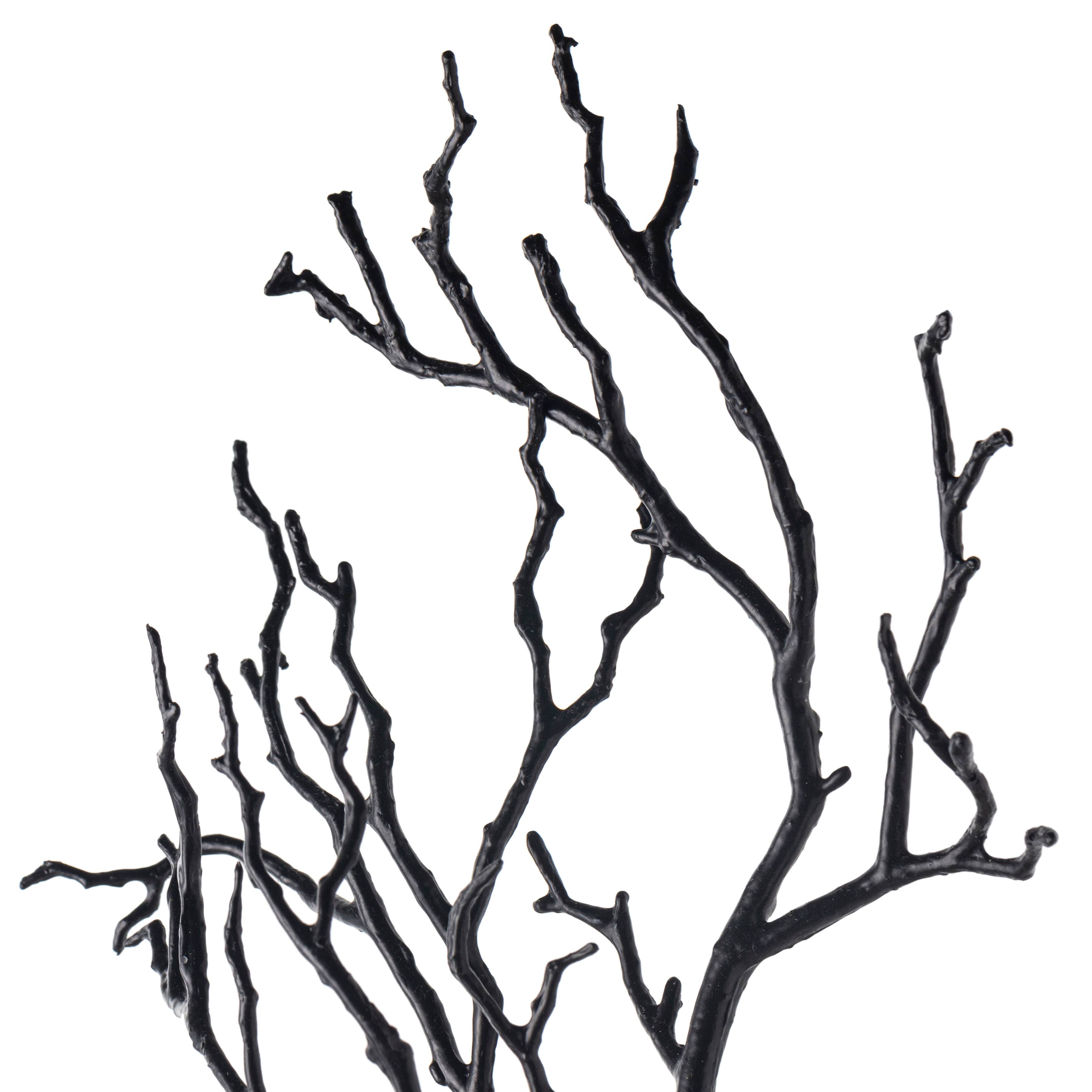 Black Bare Branch Stem by Ashland®
