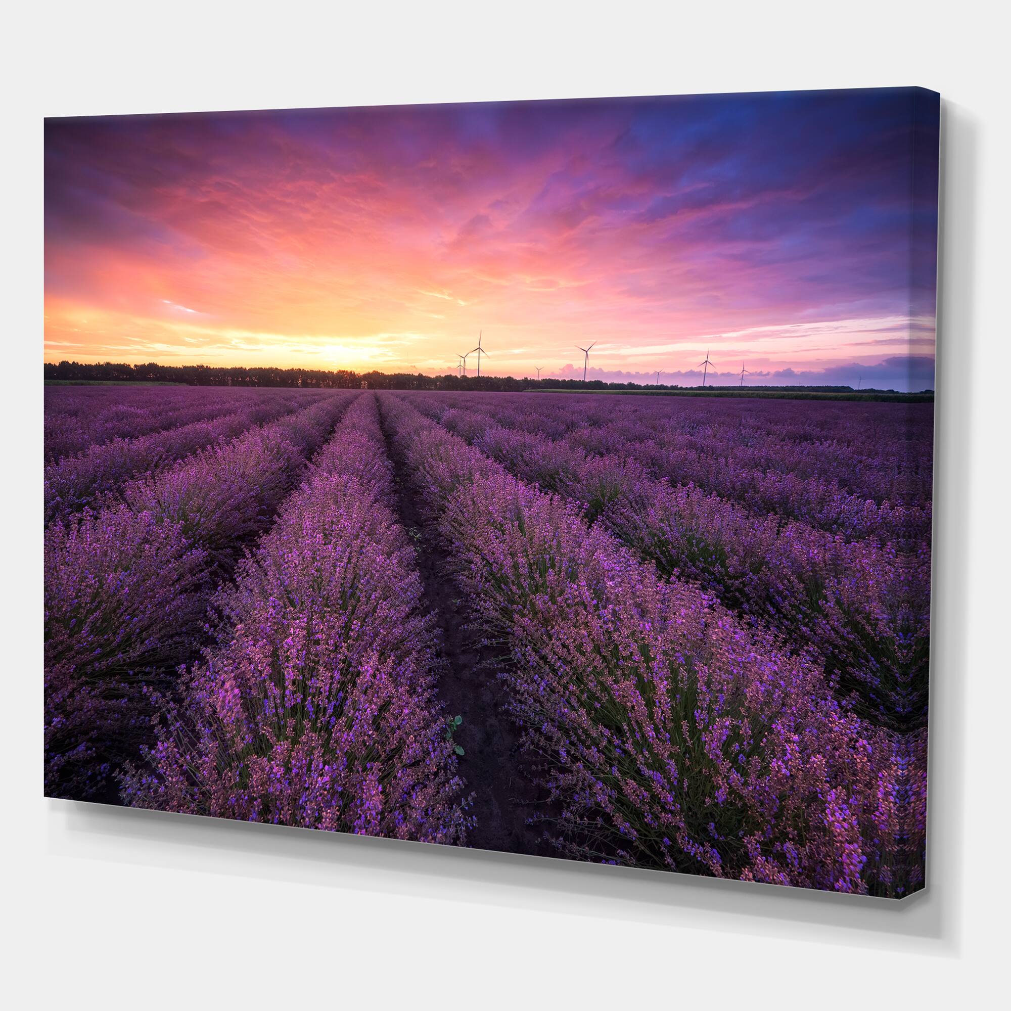 Designart - Sunrise & Dramatic Clouds Over Lavender Field XIII - Farmhouse Canvas Wall Art Print