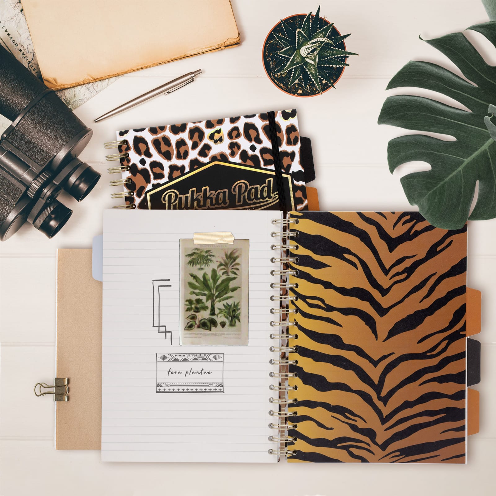 Pukka Pads B5 Wild Project Book Set