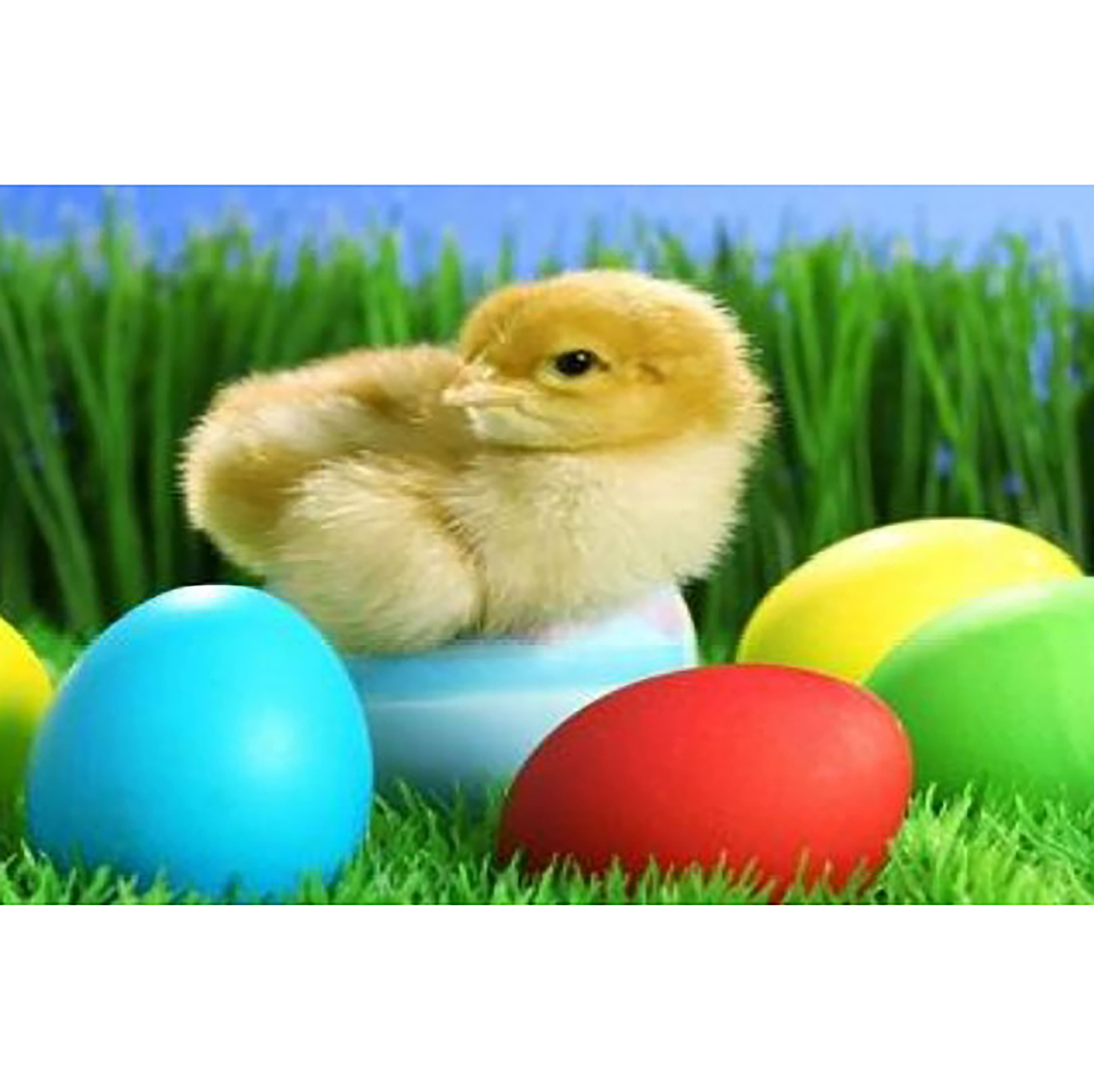 Sparkly Selections Easter Chick Diamond Painting Kit