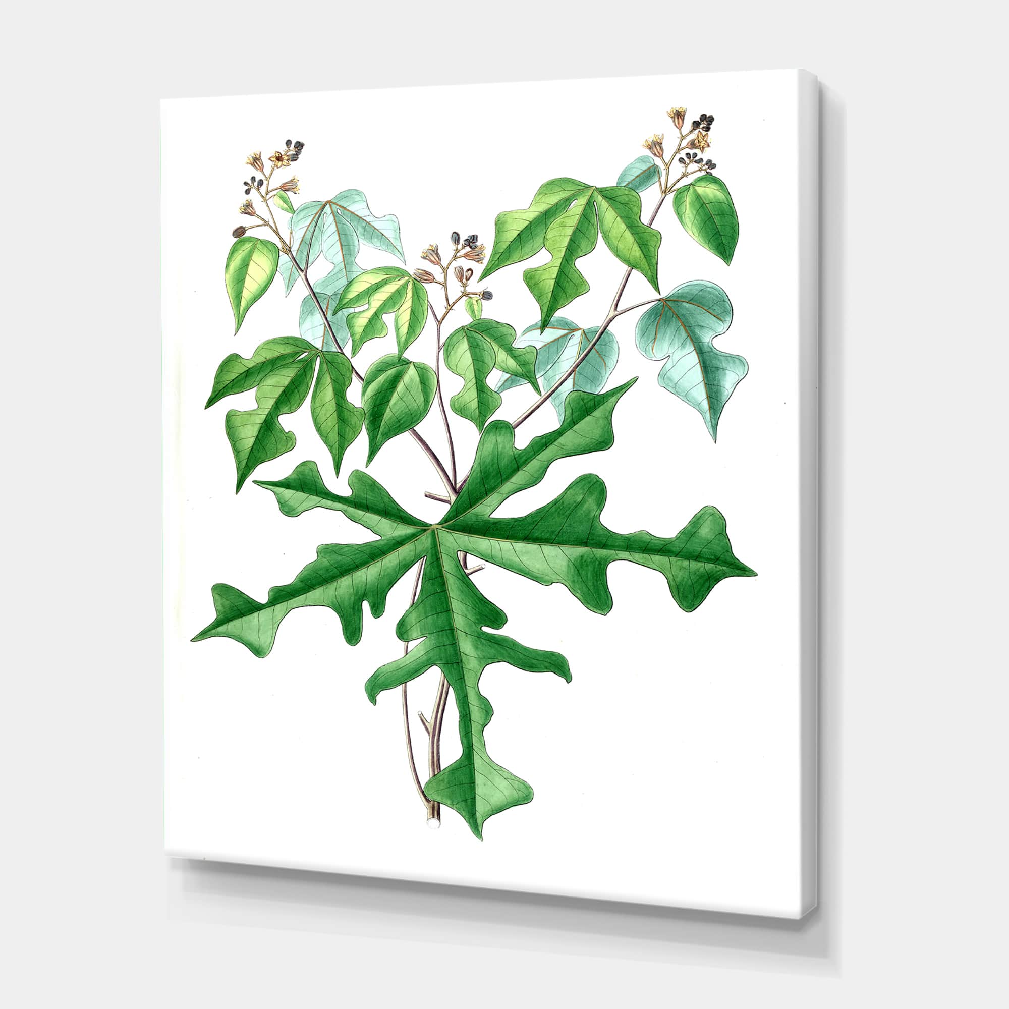 Designart - Vintage Drawing of Wild Plants - Traditional Canvas Wall Art Print