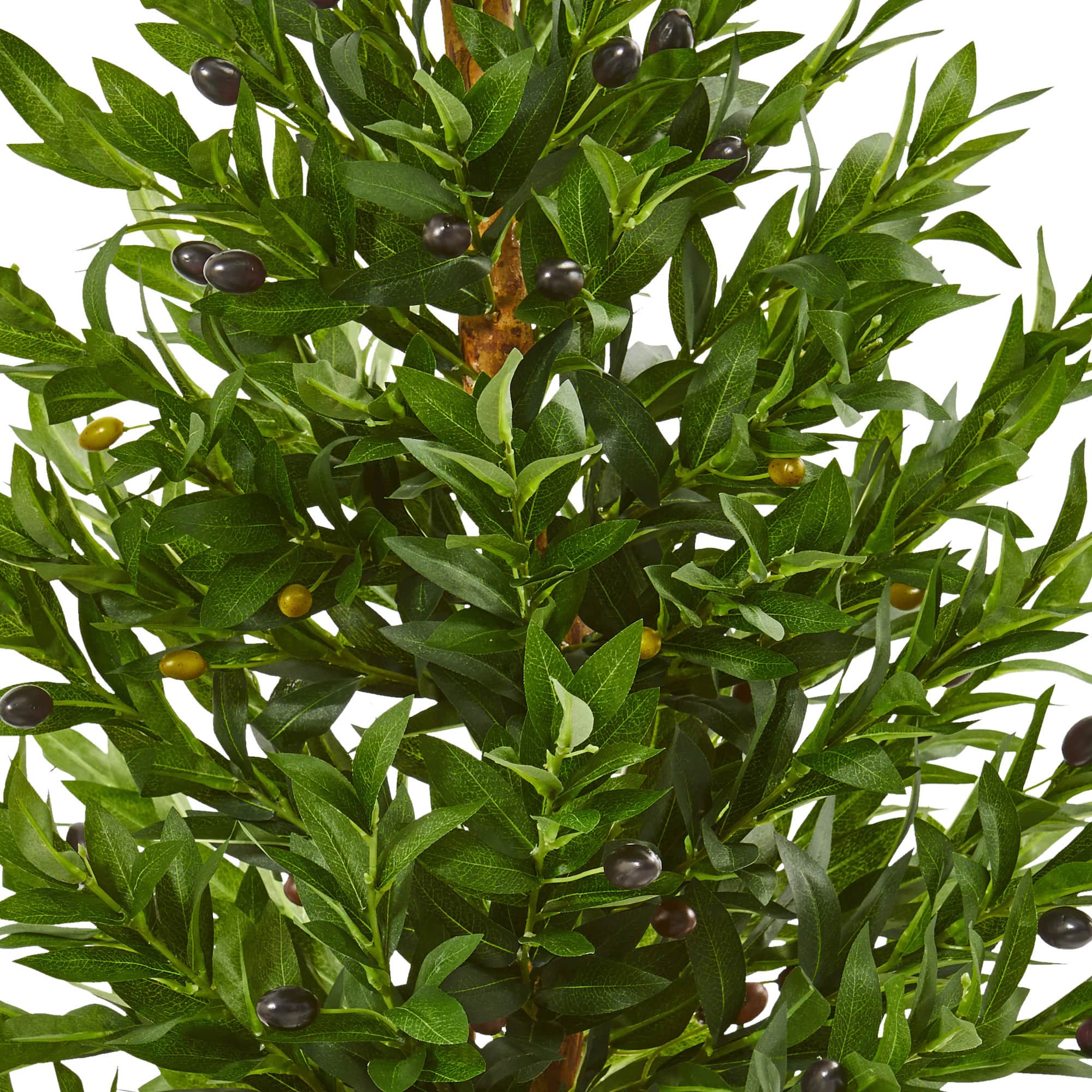 3.5ft. Olive Cone Topiary Tree in White Planter