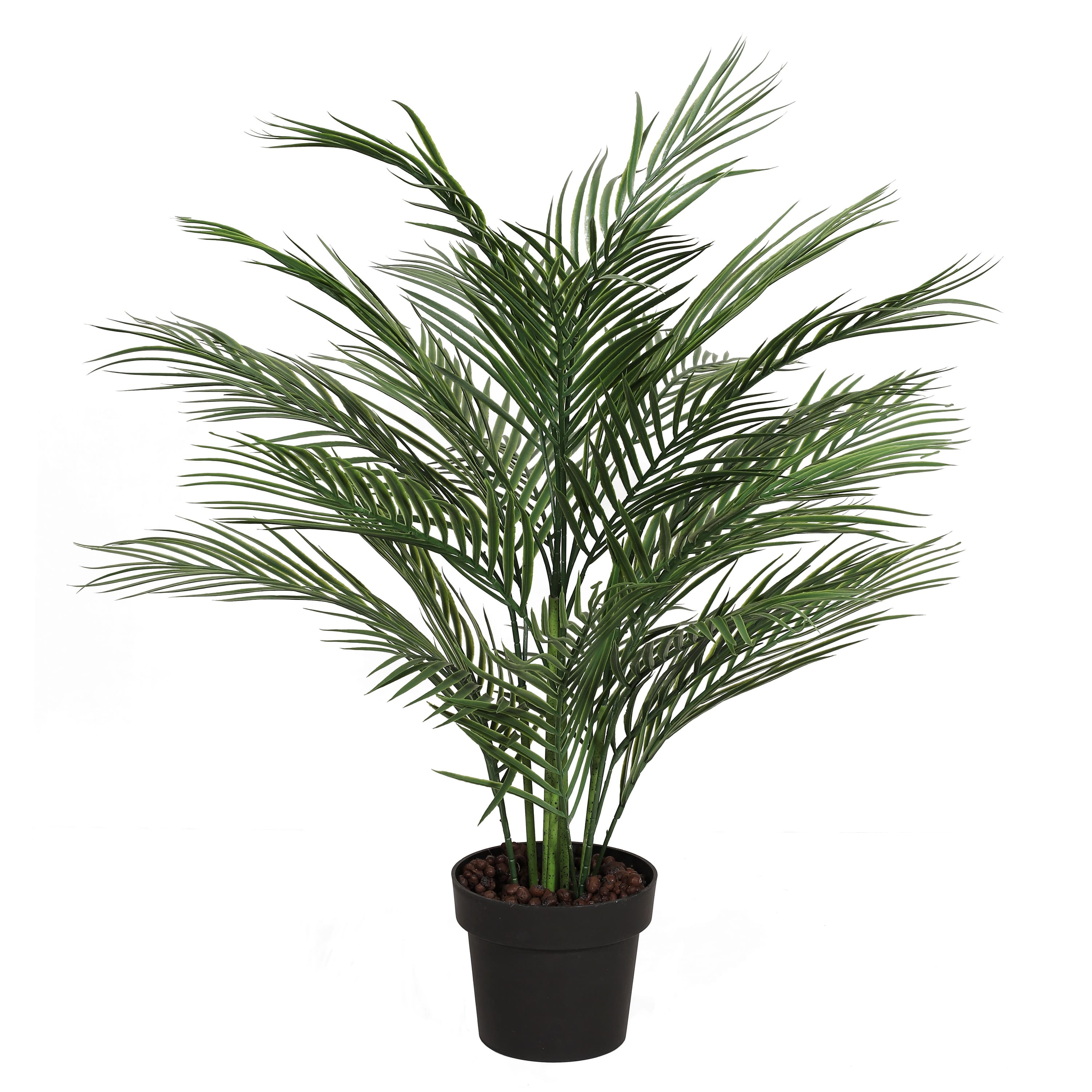 6 Pack: 2.5ft. Potted Areca Palm Tree