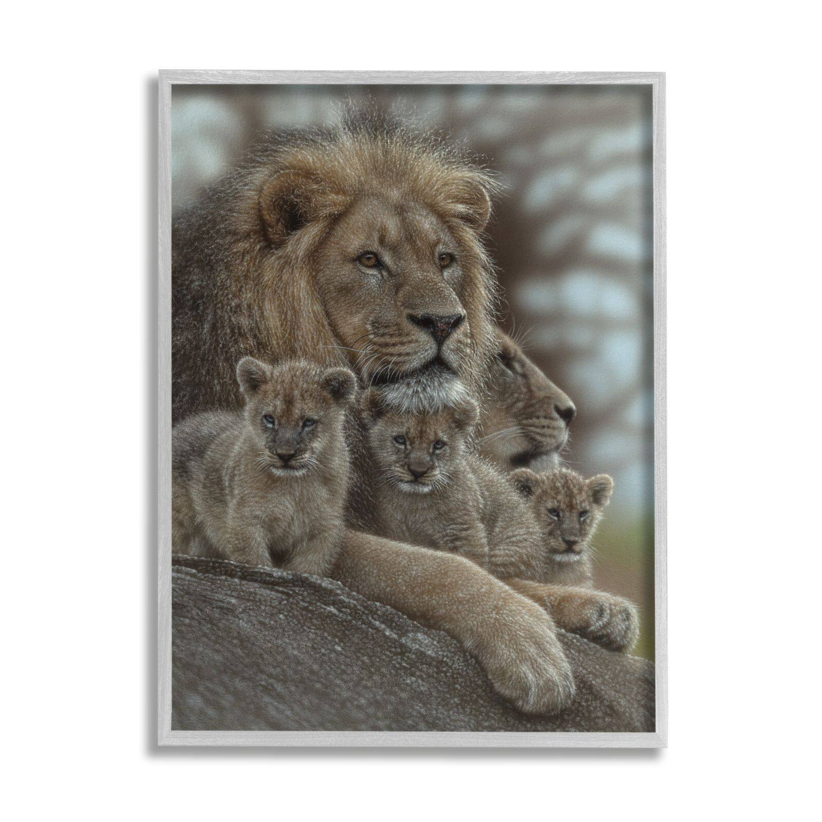 Stupell Industries King Lion Baby Cubs Wild Safari Animal Family Framed Wall Art