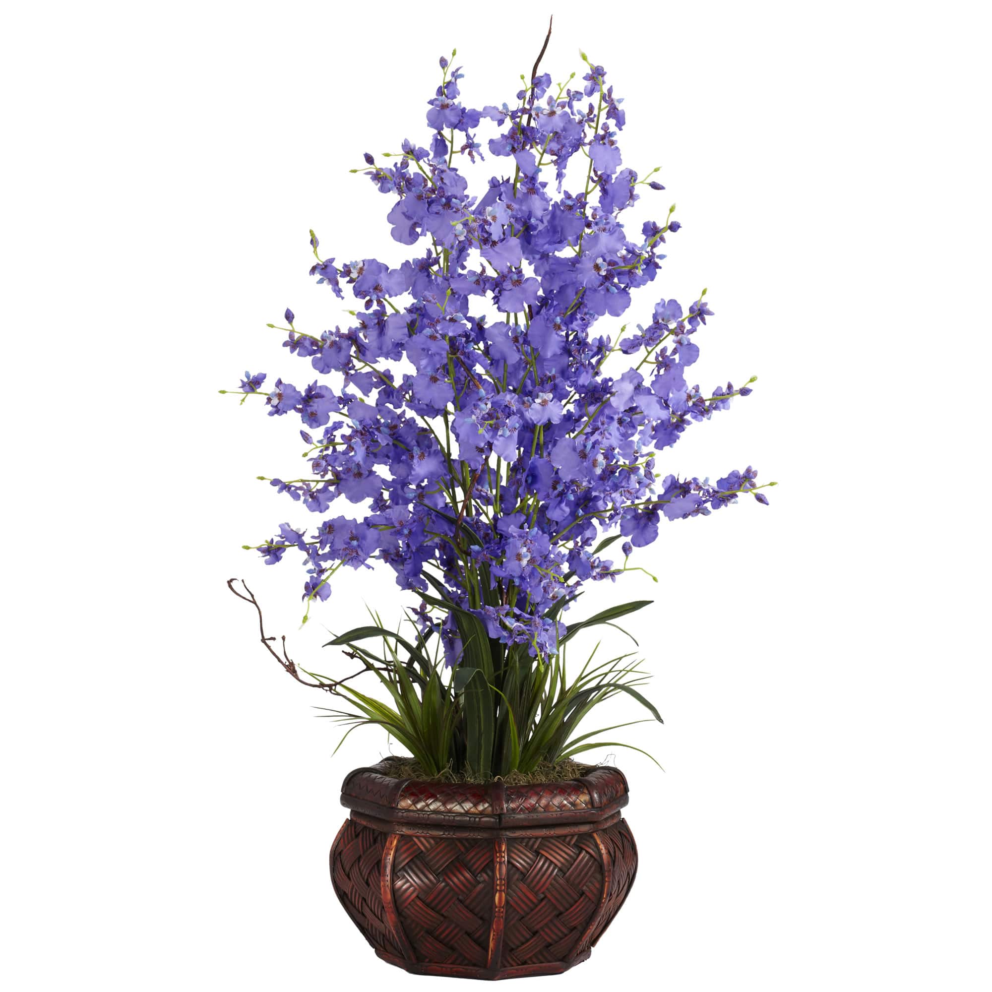 2.5ft. Purple Dancing Lady Orchid Arrangement with Bamboo Vase