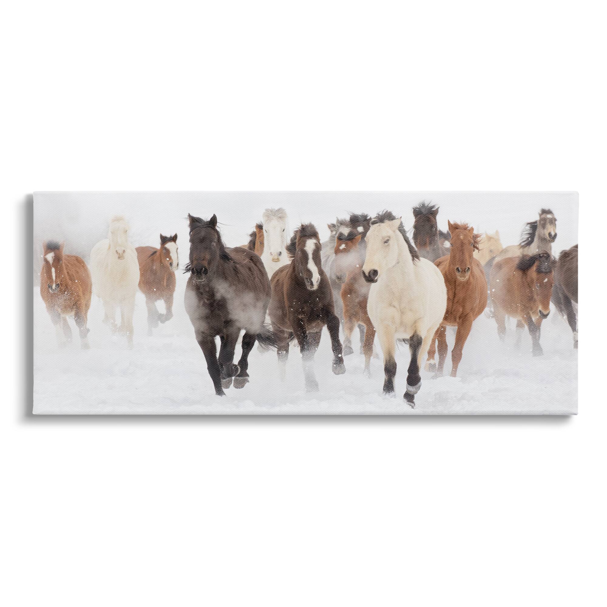 Stupell Industries Wild Horses Herd Foggy Winter Day  Canvas Wall Art
