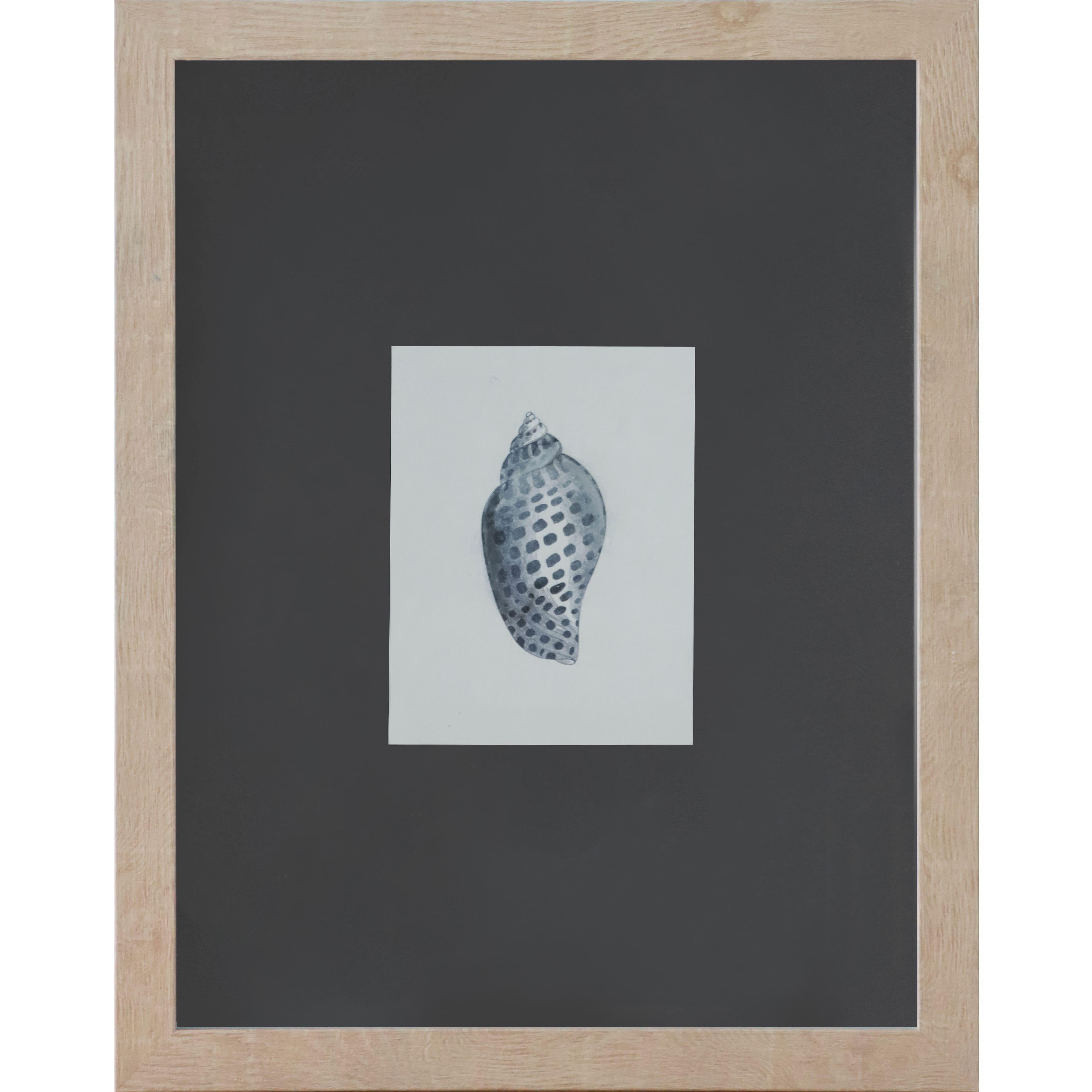 11" x 14" Blue Spotted Shell Art Wall Décor by Ashland®