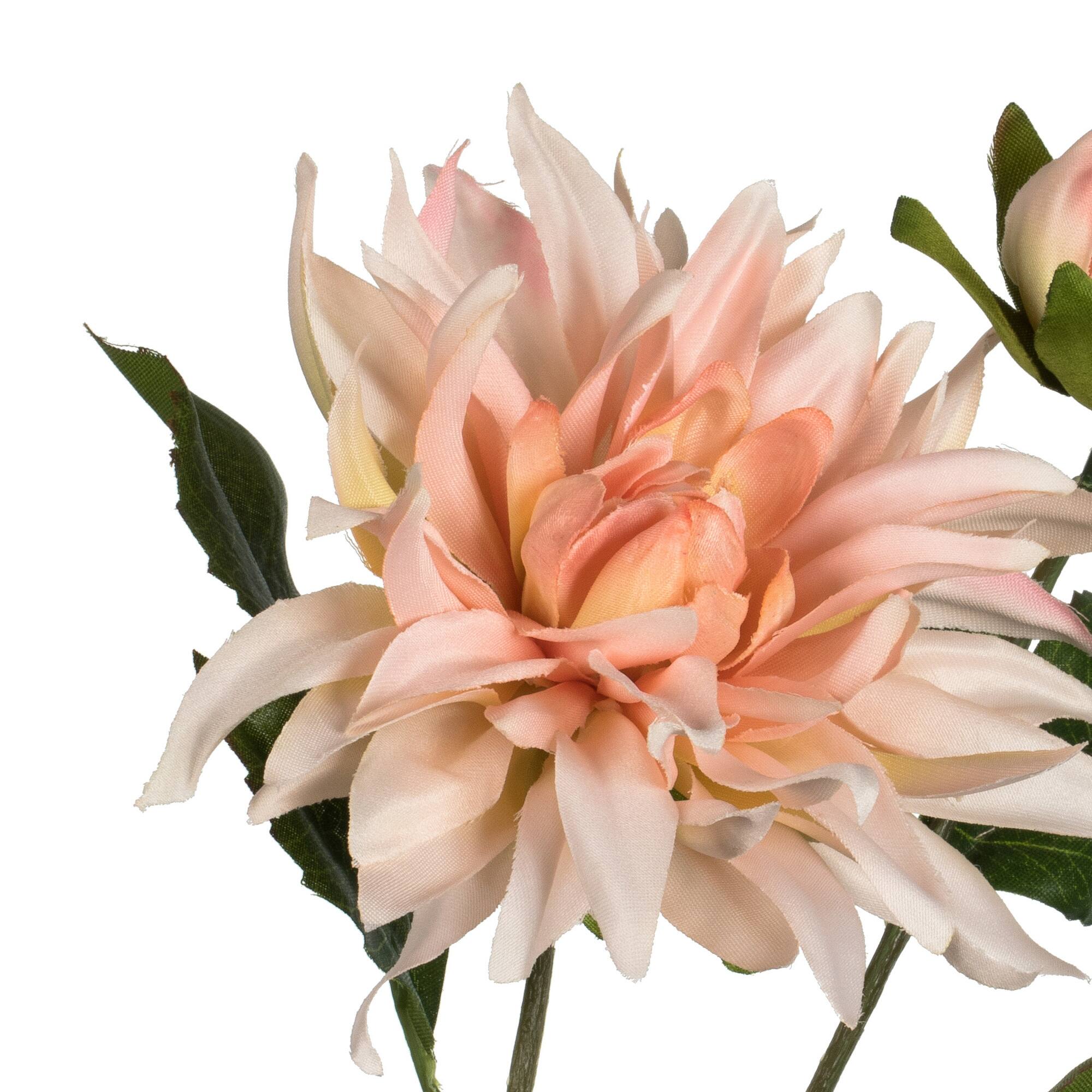 6 Pack: Peach Dahlia Spray