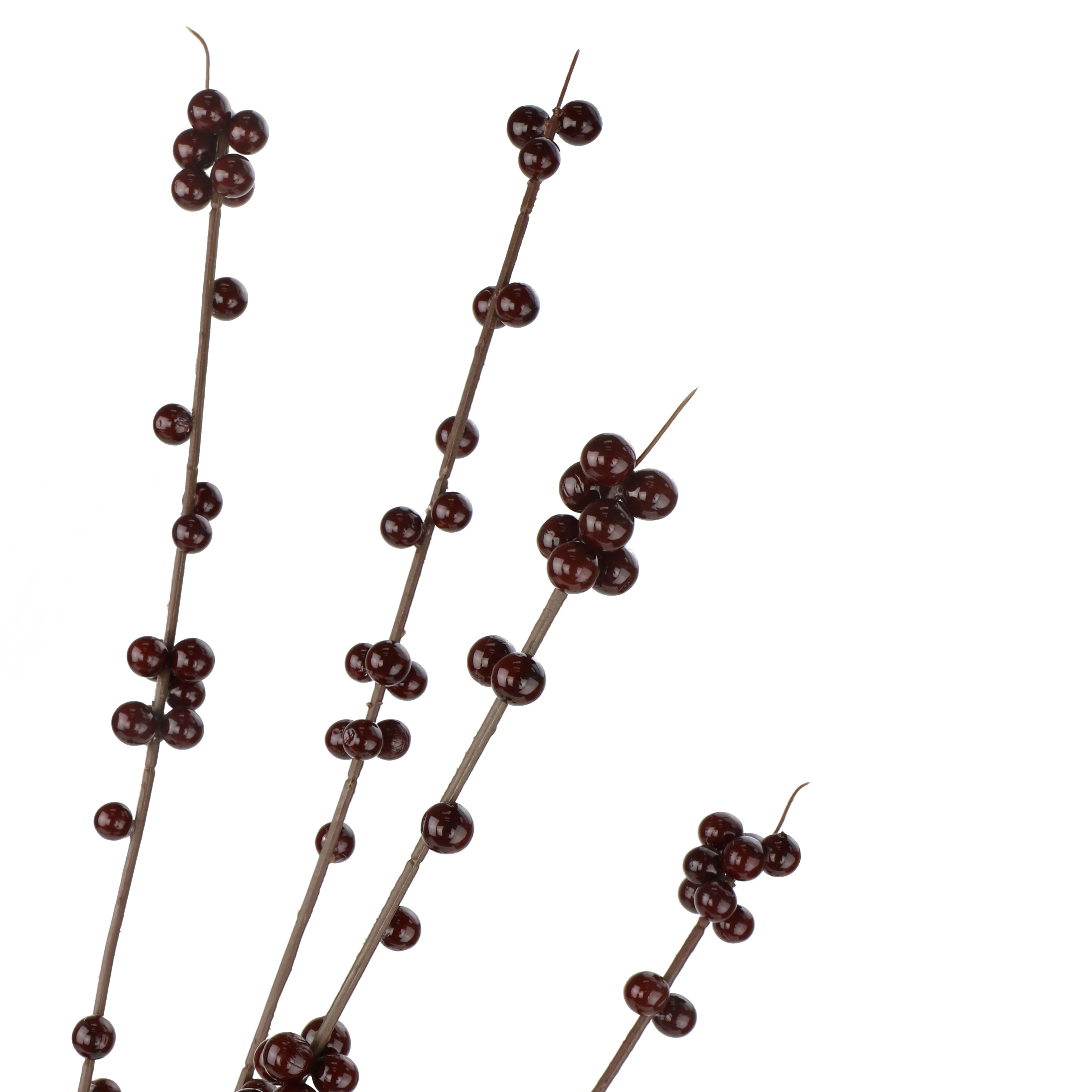 41.5" Burgundy Berry Stem by Ashland®