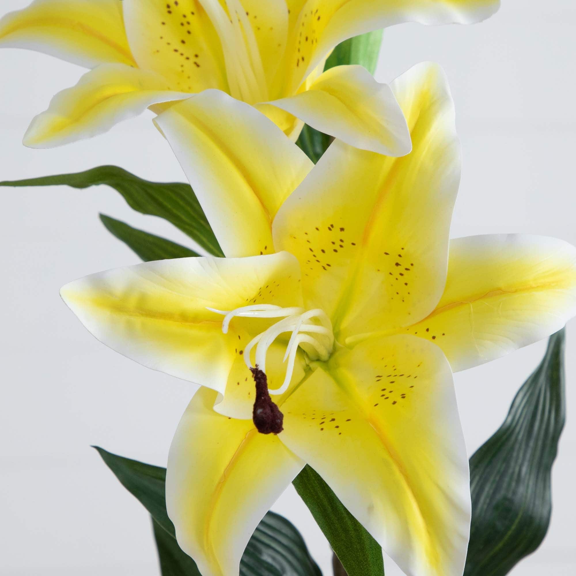 31" Yellow Lily Flower Stems, 3ct.