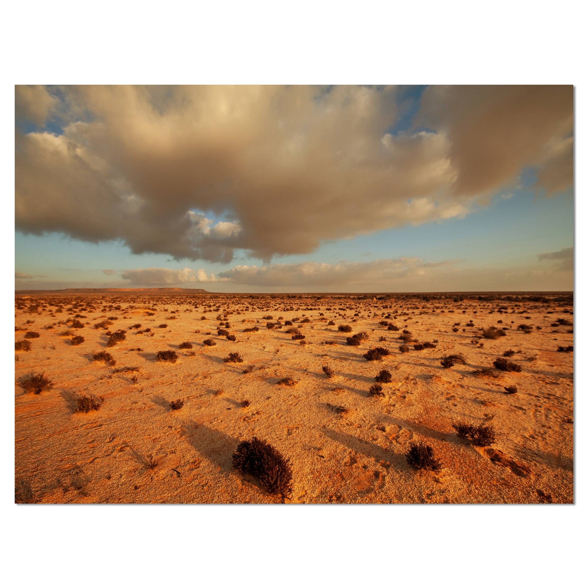 Designart - Desert in Western Sahara