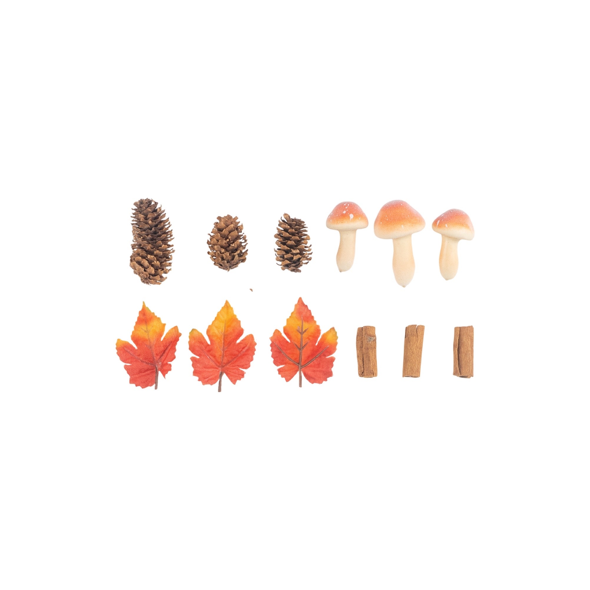 Mushroom, Pinecone, Cassia Bark & Maple Leaf Decorative Components by Ashland®