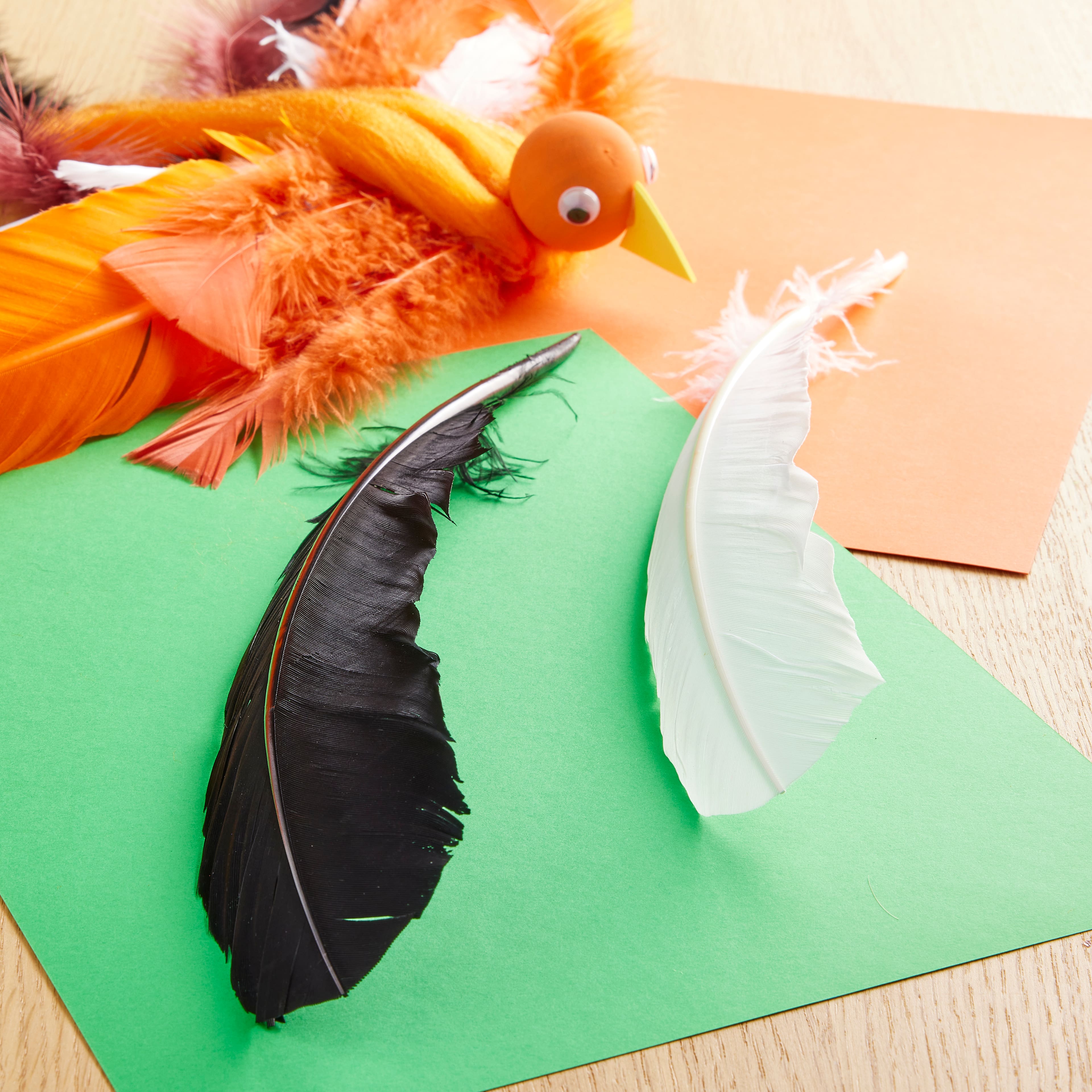 12 Packs: 20 ct. (240 total) Black & White Quill Feathers by Creatology™