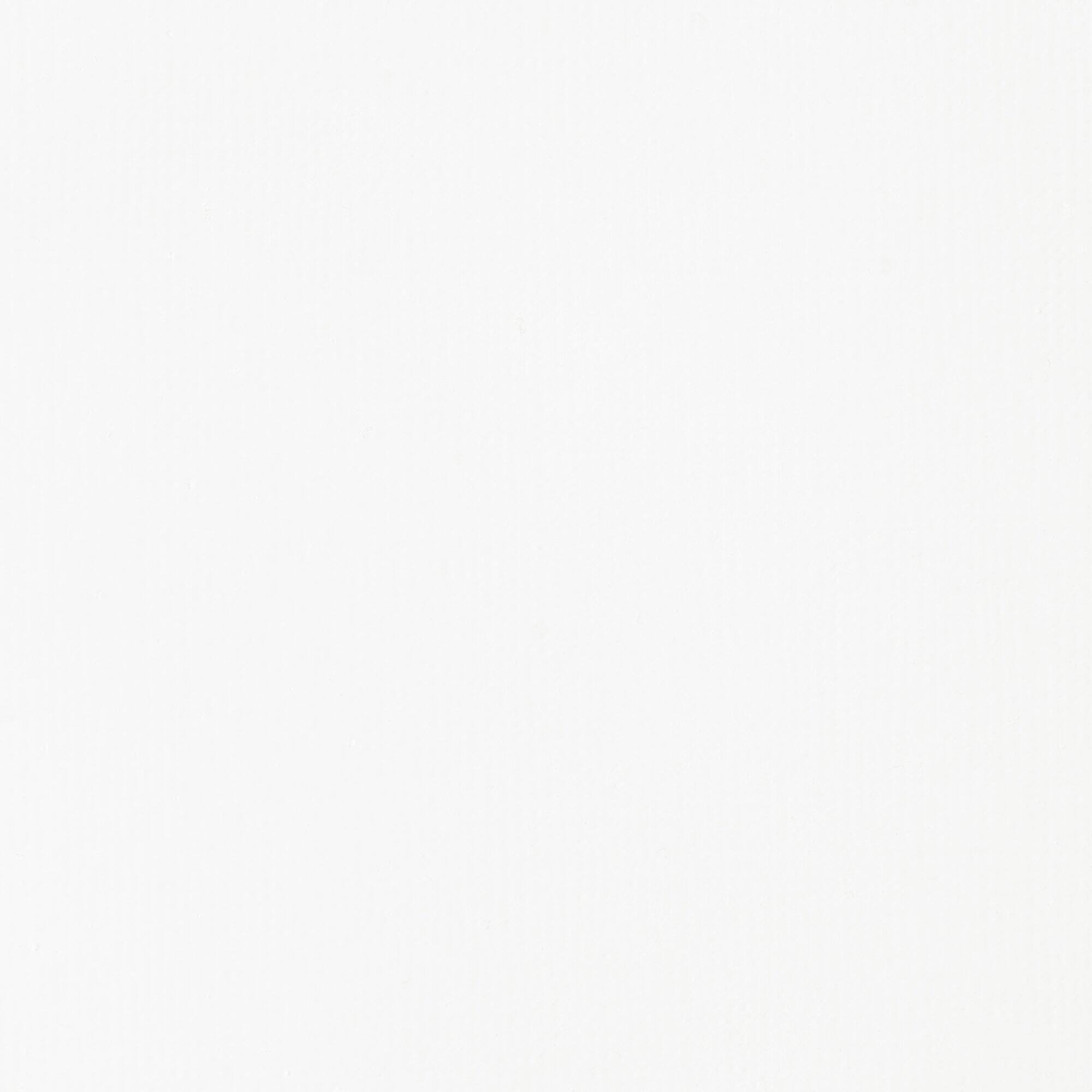 6 Pack: Liquitex® BASICS Titan White Acrylic Paint Jar, 32oz.