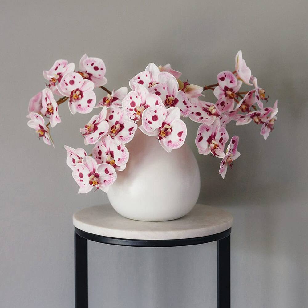 Prestige Botanicals 22" Artificial White & Pink Spotted Phalaenopsis Orchid Stem