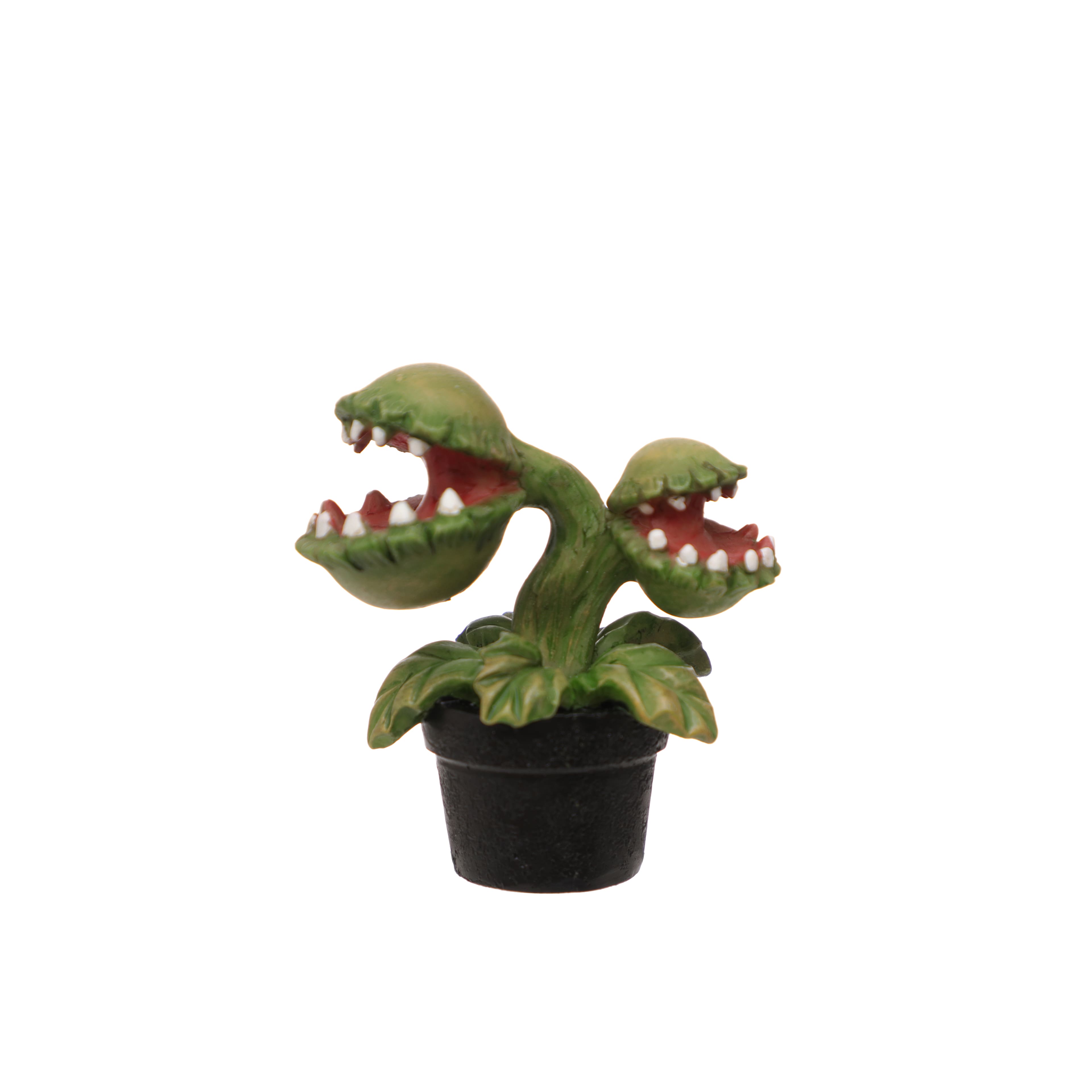 Mini Venus Flytrap by Ashland®