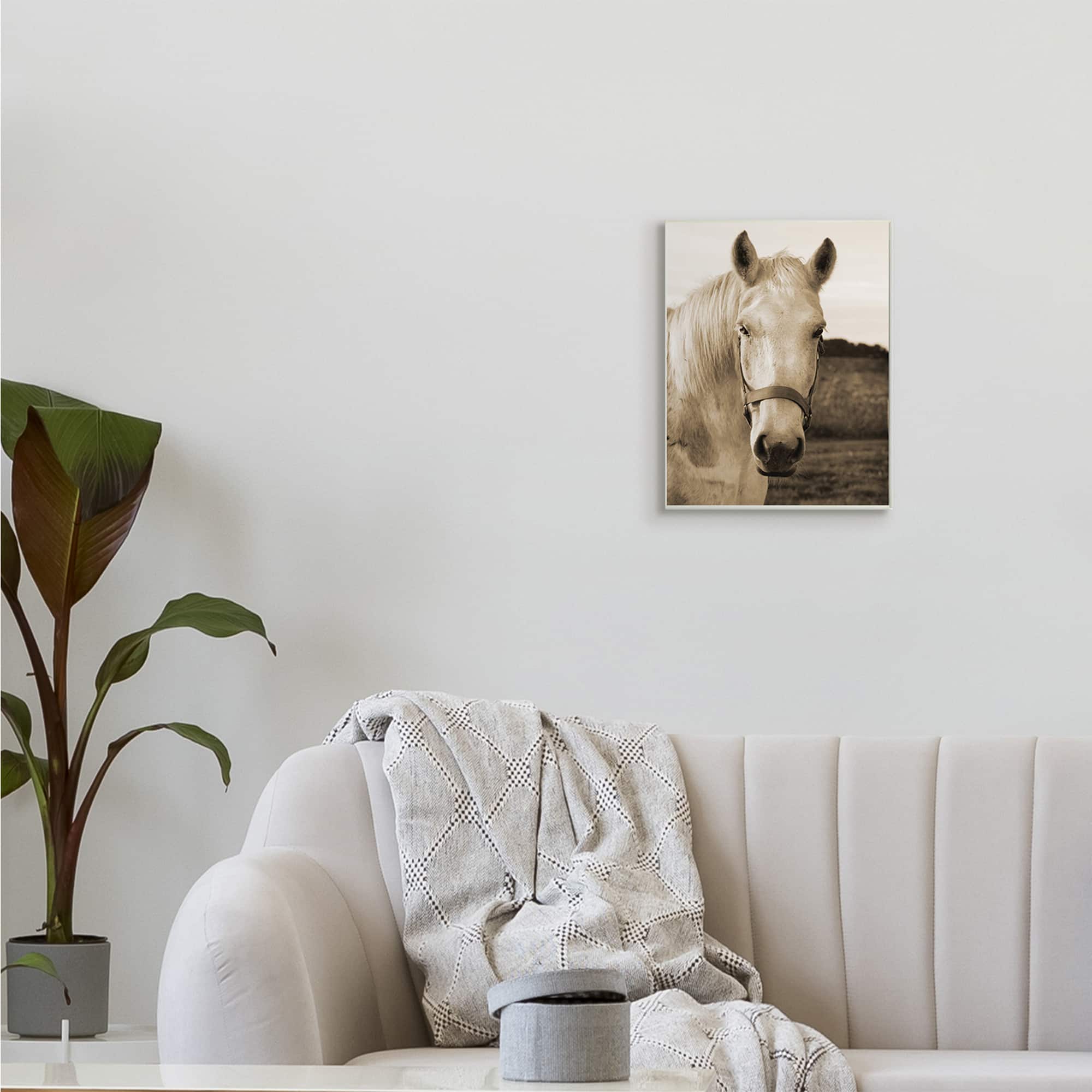 Stupell Industries Rustic Sepia tone Portrait of White Horse Wall Plaque