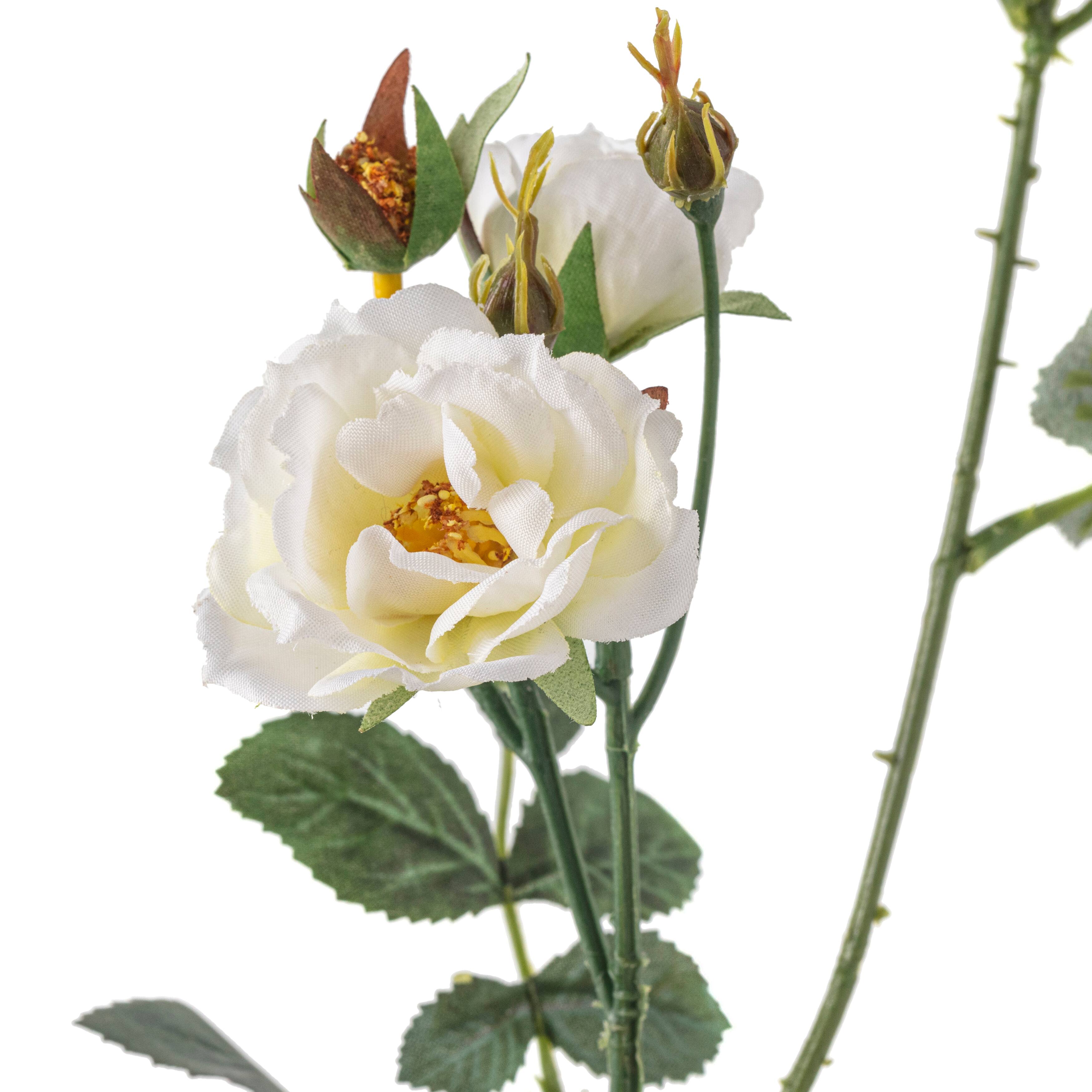 12 Pack: Cream Kate Rose Spray by Ashland®
