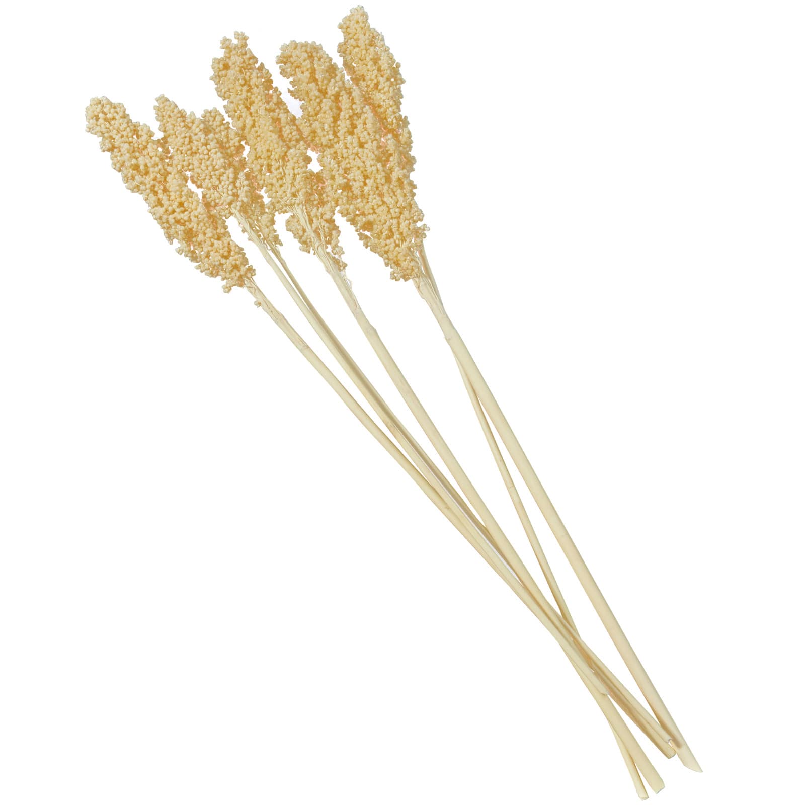 Dried Corn Maize Natural Foliage with Long Stems