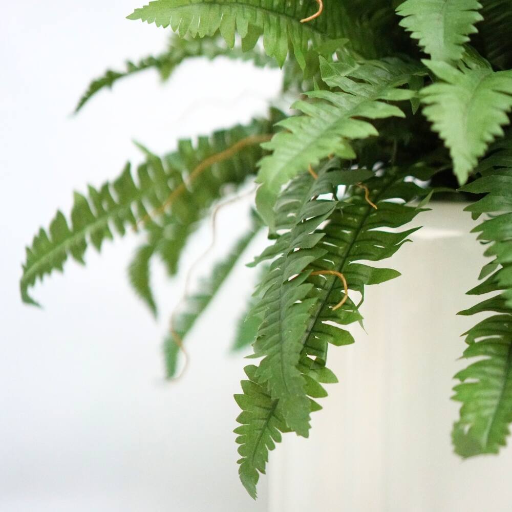 House of Silk Flowers 30" Faux Boston Fern in Matte White Paneled Ceramic