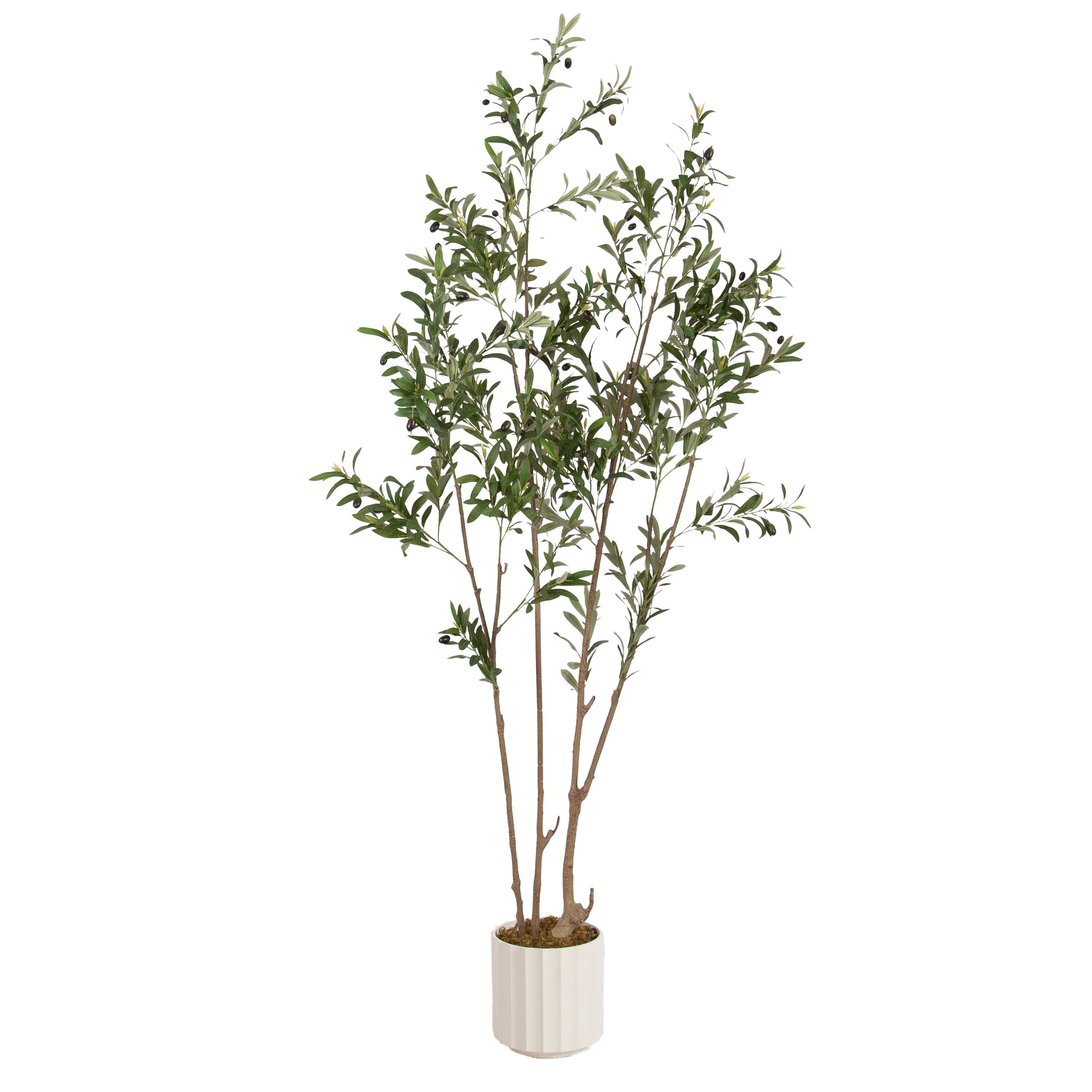 Kate and Laurel 7ft. Green Oliveira Faux Olive Tree in White Planter