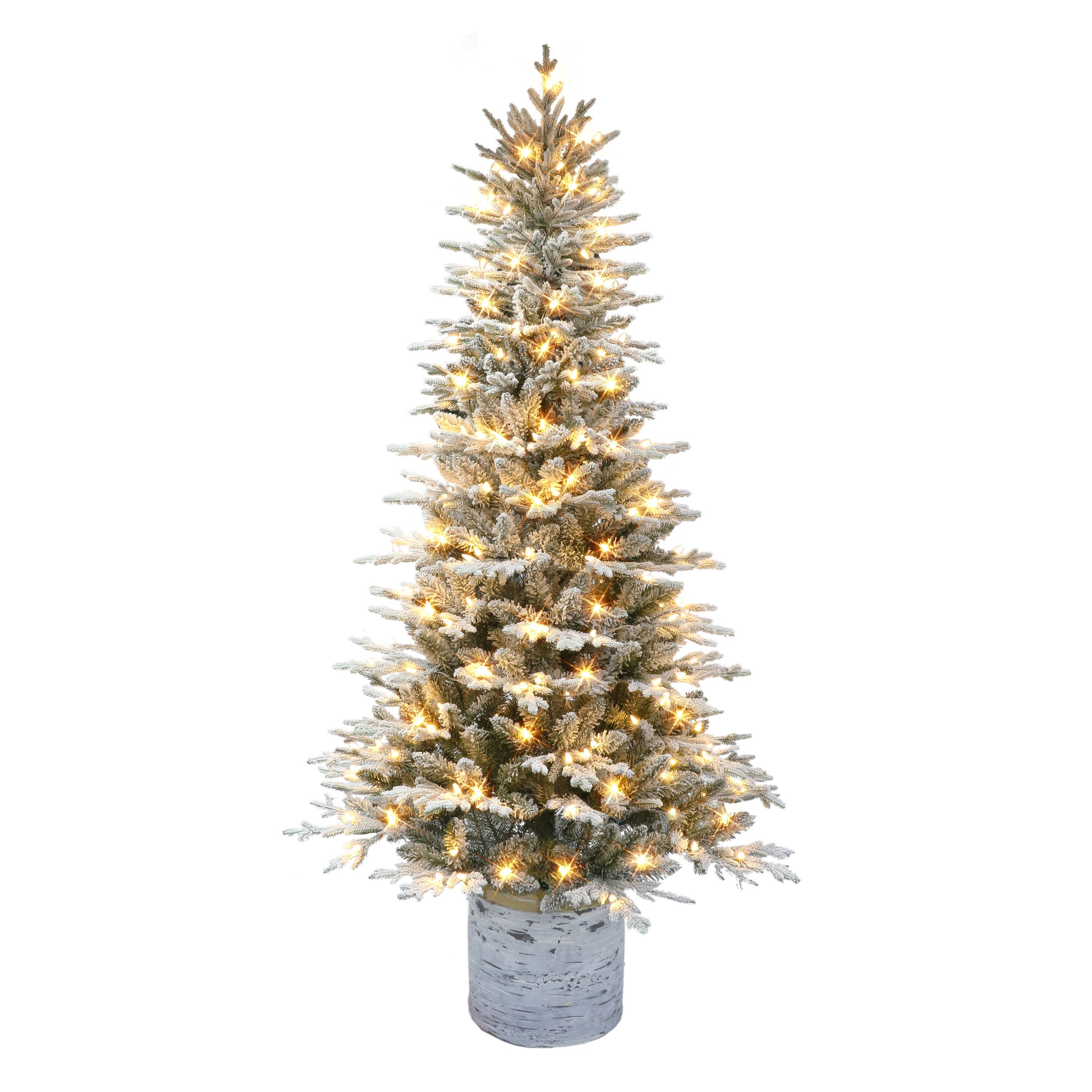 6ft. Pre-Lit Arctic Fir Artificial Potted Christmas Tree, Warm White LED Lights