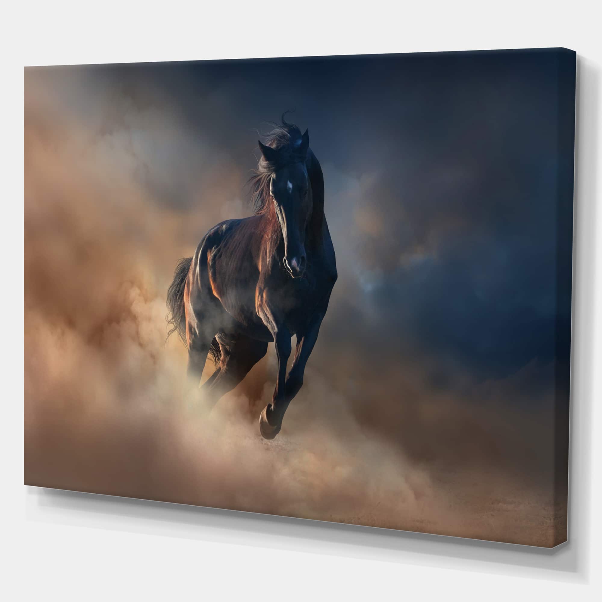 Designart - Black stallion horse