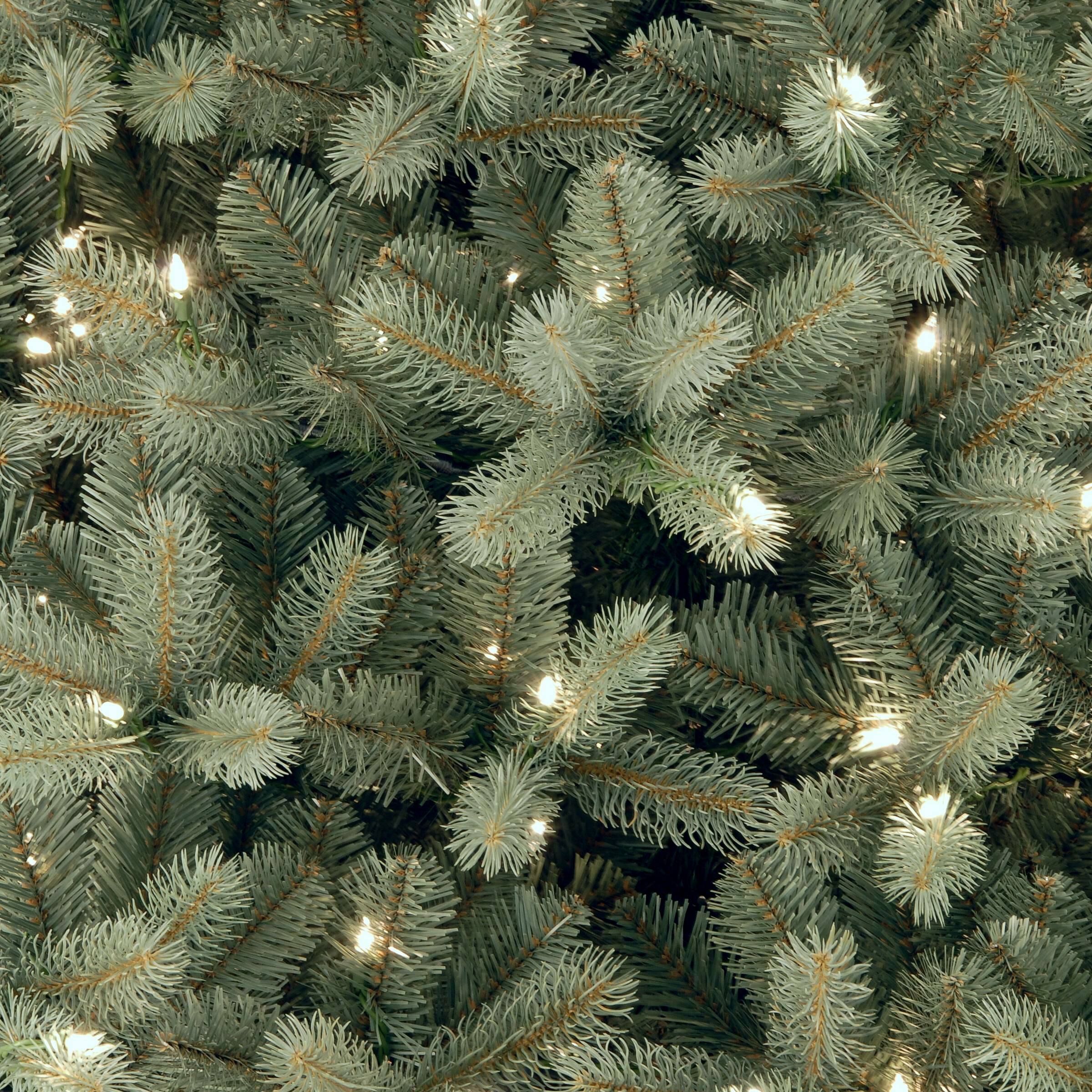 6.5ft. Pre-Lit Downswept Douglas® Blue Fir Artificial Christmas Tree, Clear Lights