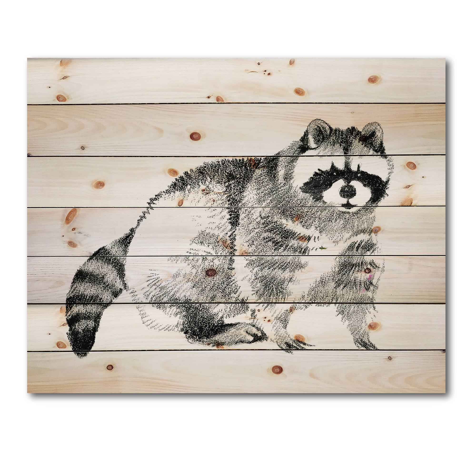 Designart - Monochrome Portrait Of Raccoon - Farmhouse Print on Natural Pine Wood