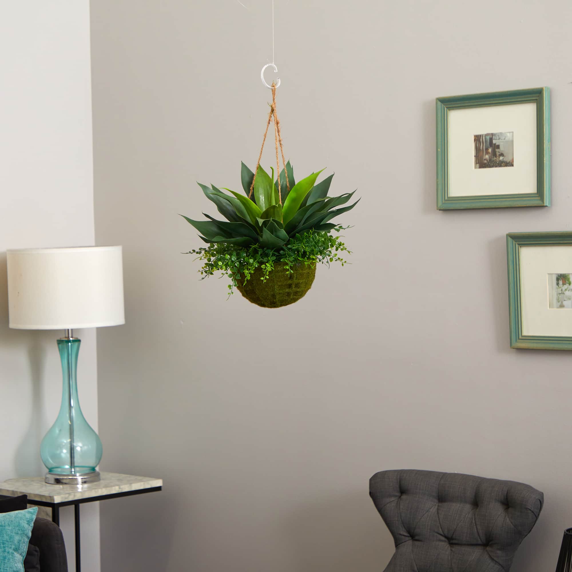 13" Agave & Maidenhair Plant in Hanging Basket