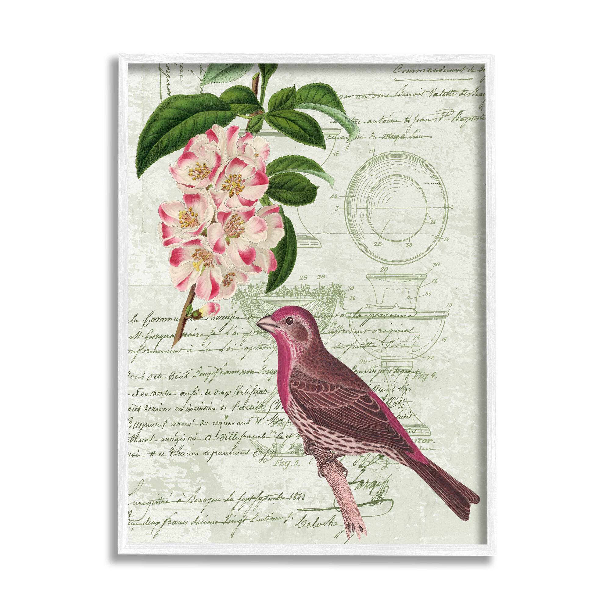 Stupell Industries Antique Bird House Patent Vintage Tree Florals Rosy-Finch Framed Wall Art