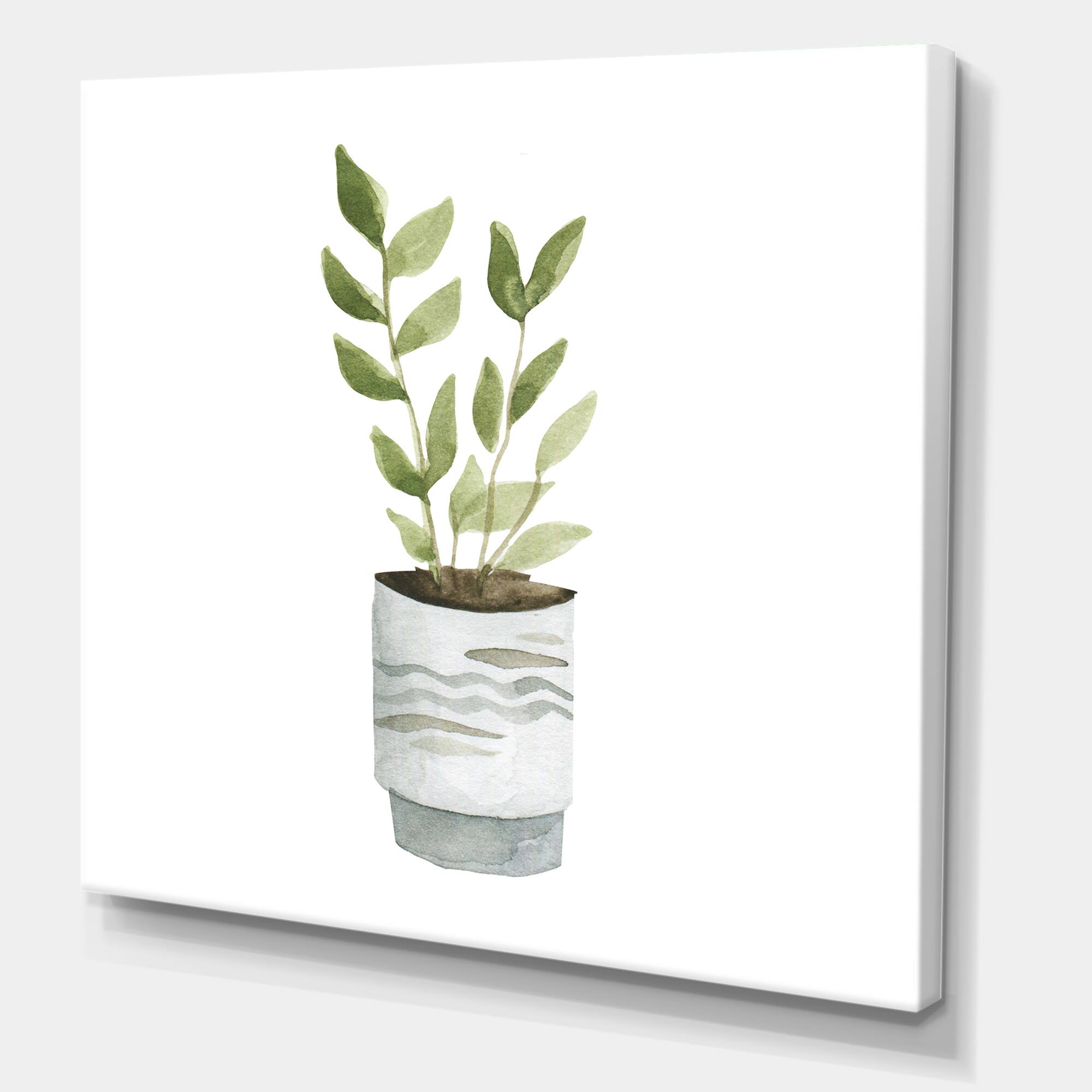 Designart - Indoor Green Home House Plants II