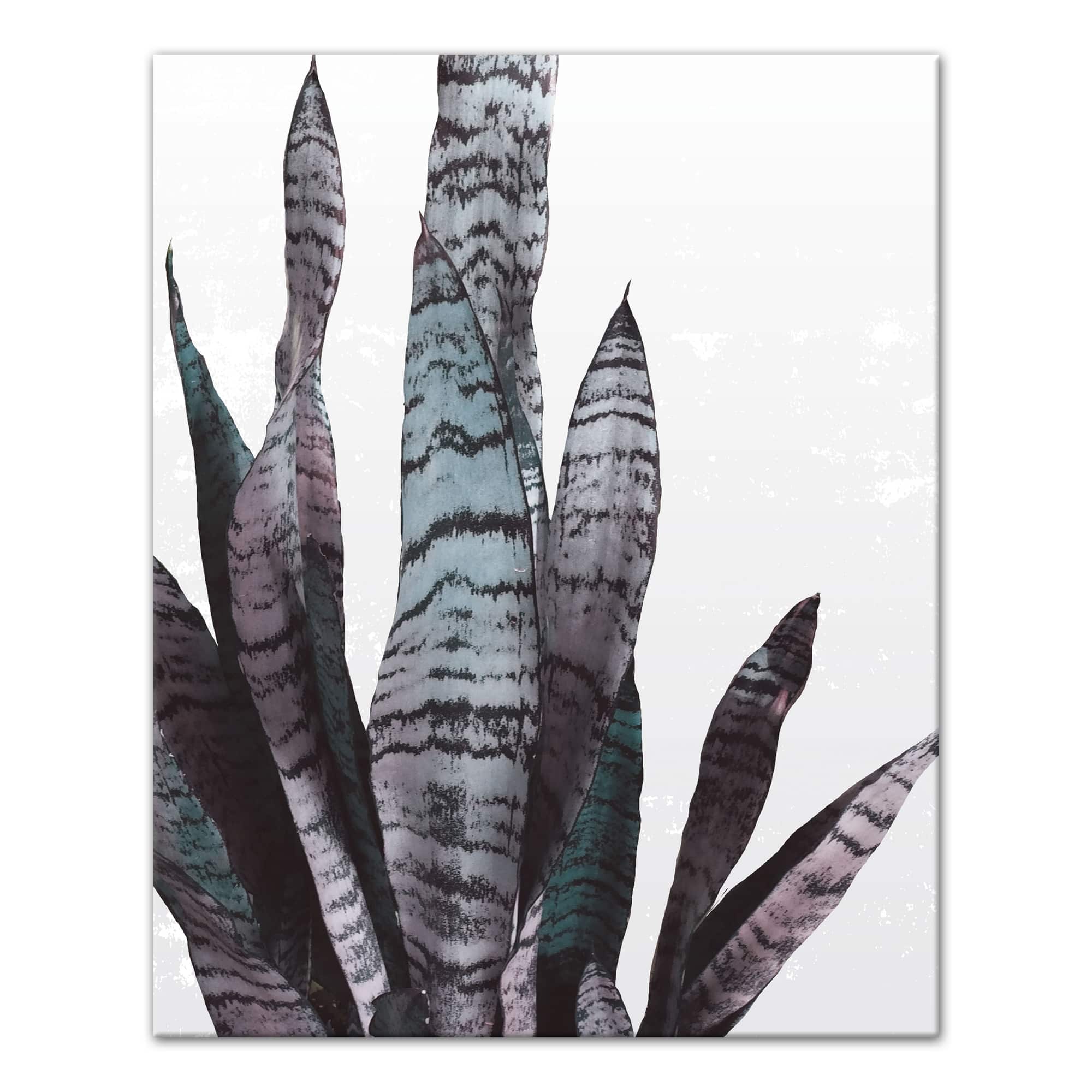 Snake Plant 16" x 20" Canvas Wall Art