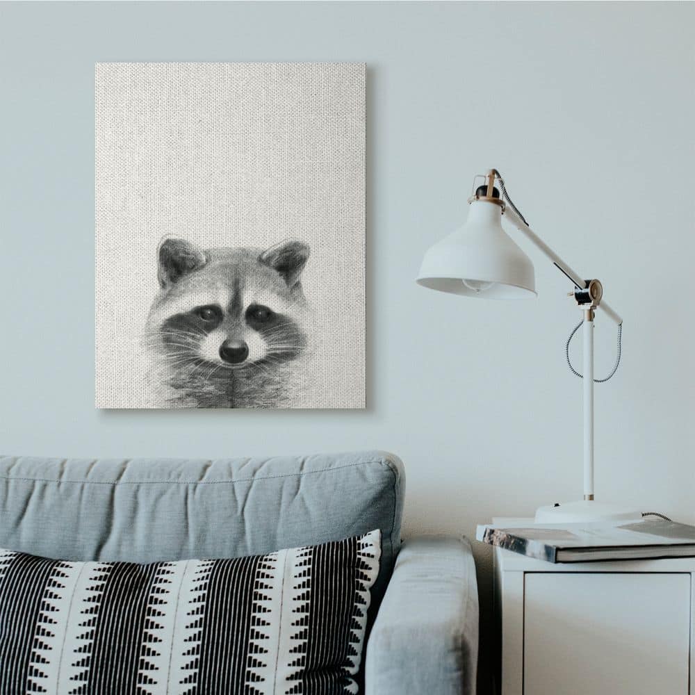Stupell Industries Raccoon Portrait Grey Drawing Design Canvas Wall Art