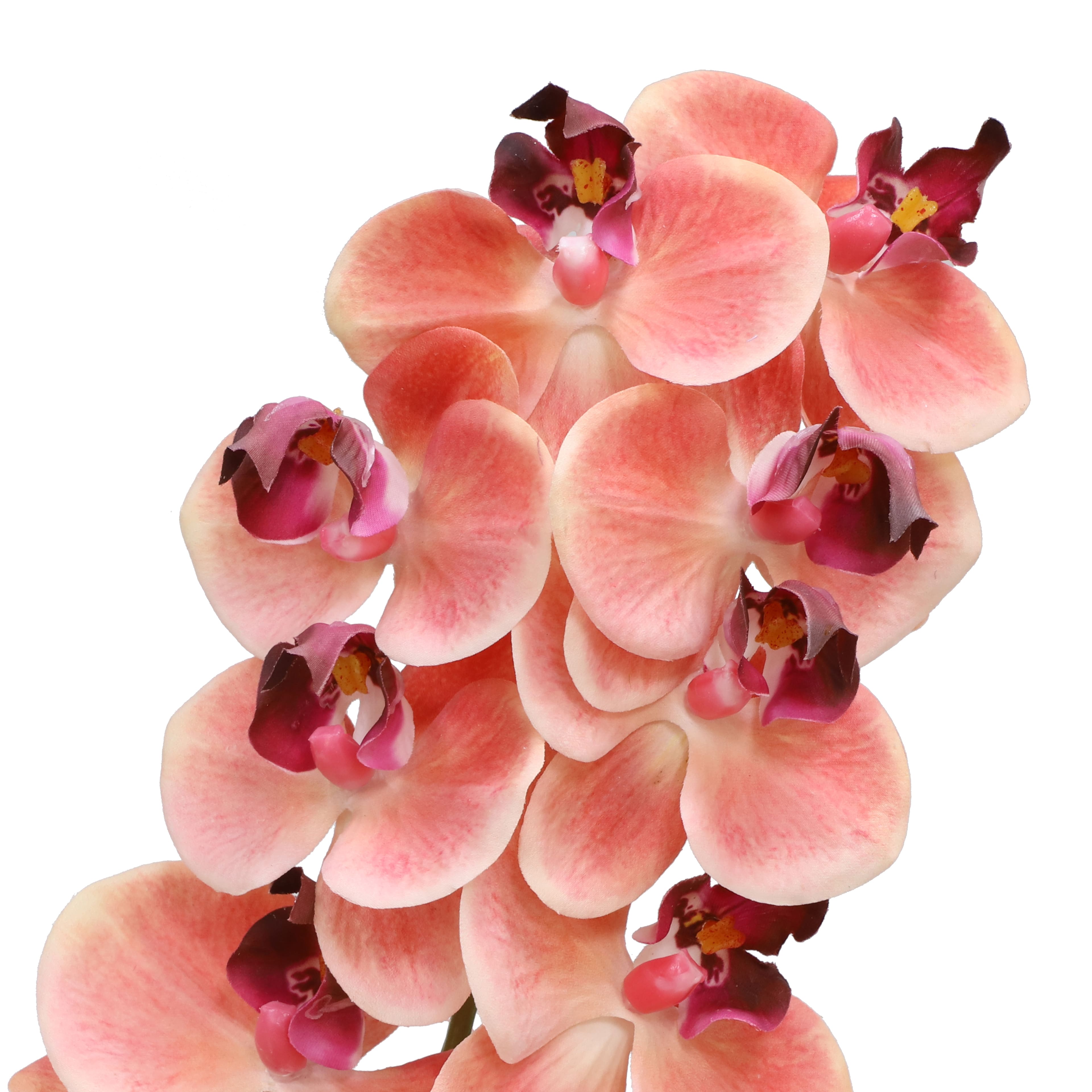 50" Orchid Oversized Stem by Ashland