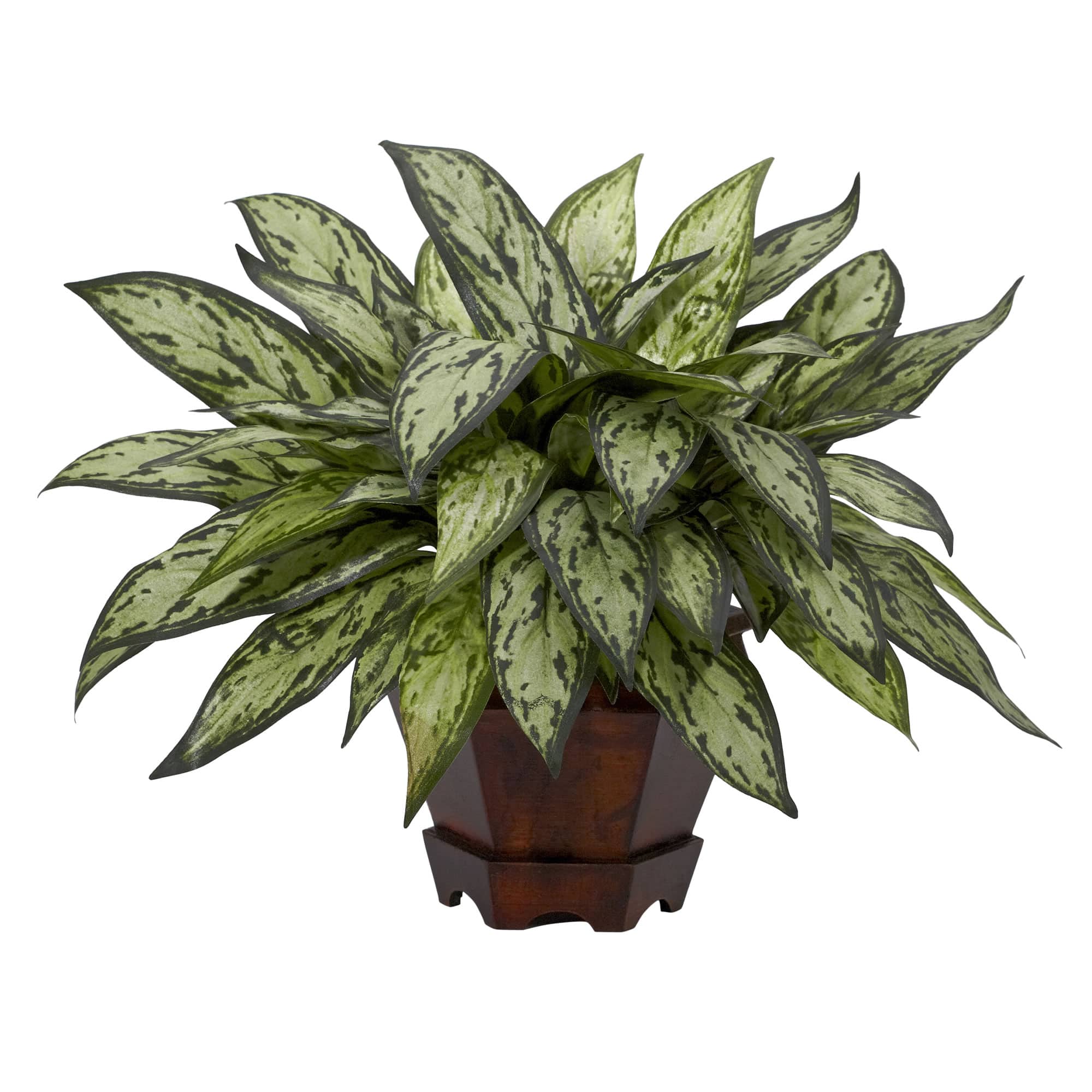 14" Triple Silver Queen Silk Plant in Hexagon Vase