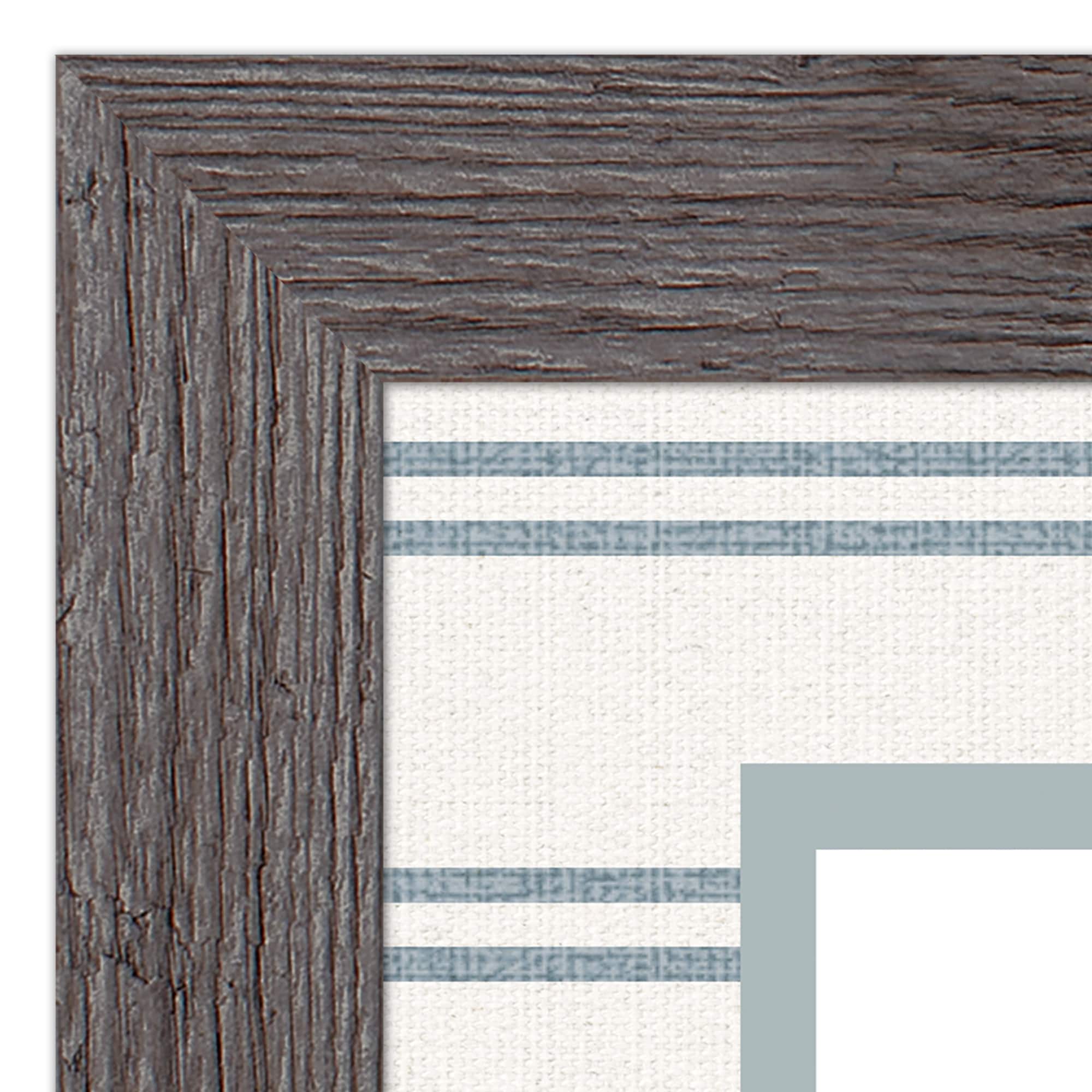 Snail & Olive Shell Western Framed Print