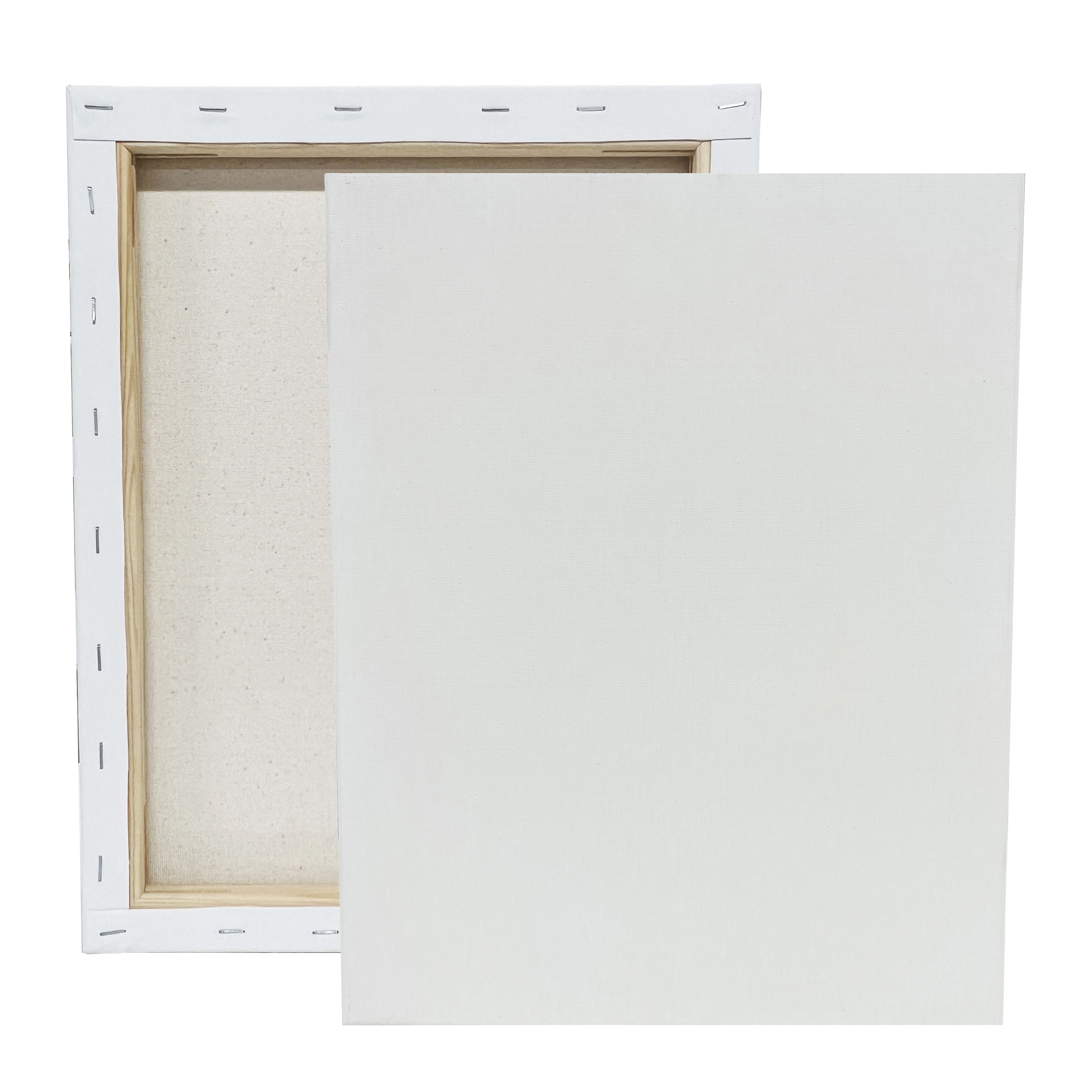 2 Pack Value Canvas by Artist's Loft