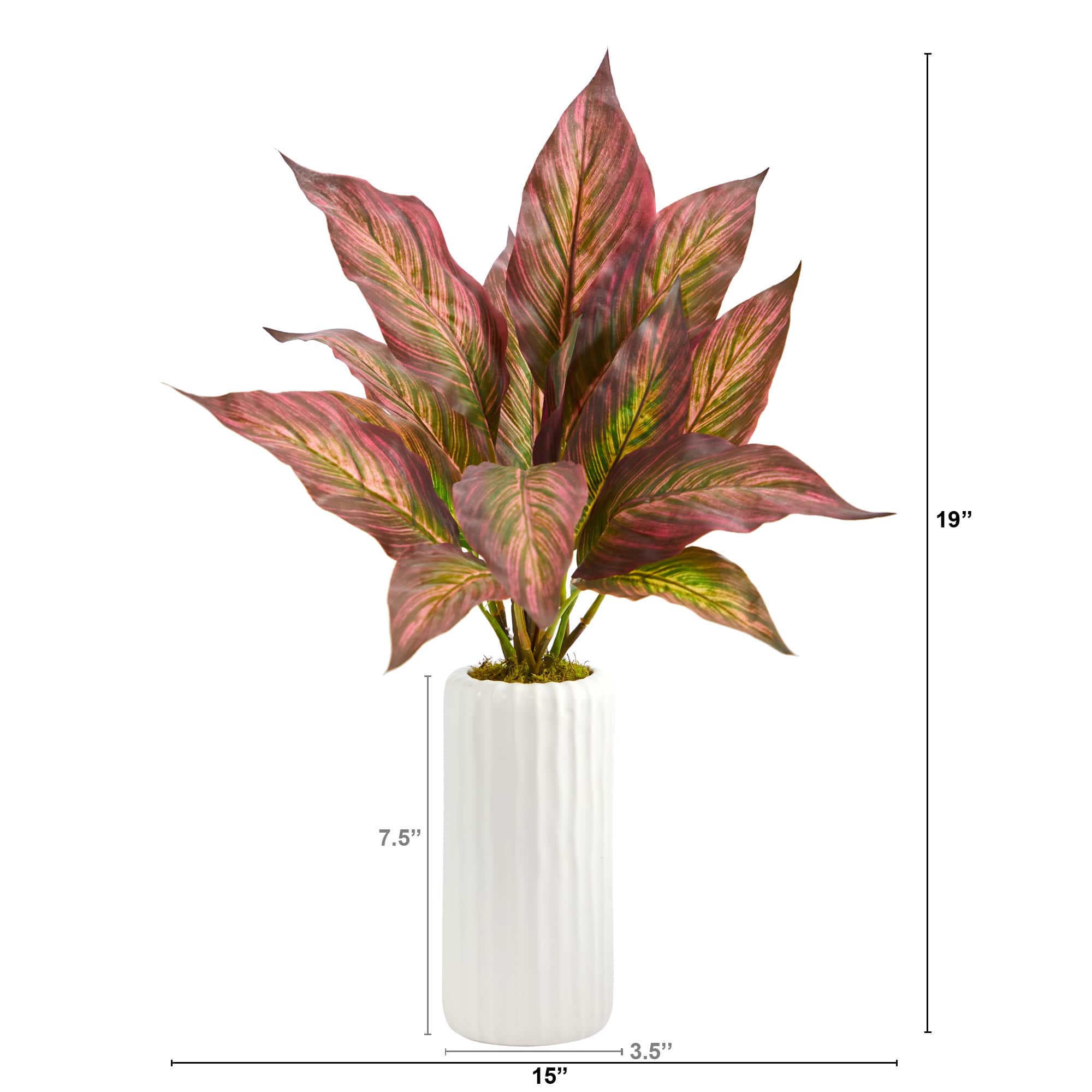 19" Musa Leaf Plant in White Planter