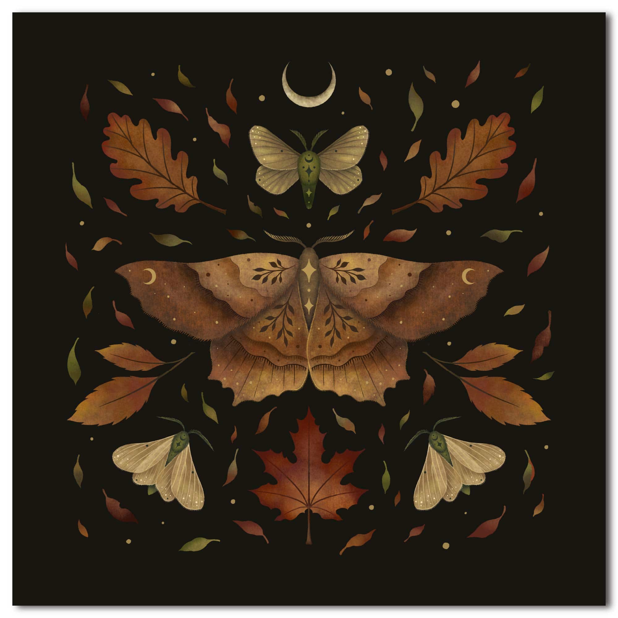 Courtside Market® Autumn Moth Gallery-Wrapped Canvas Wall Art