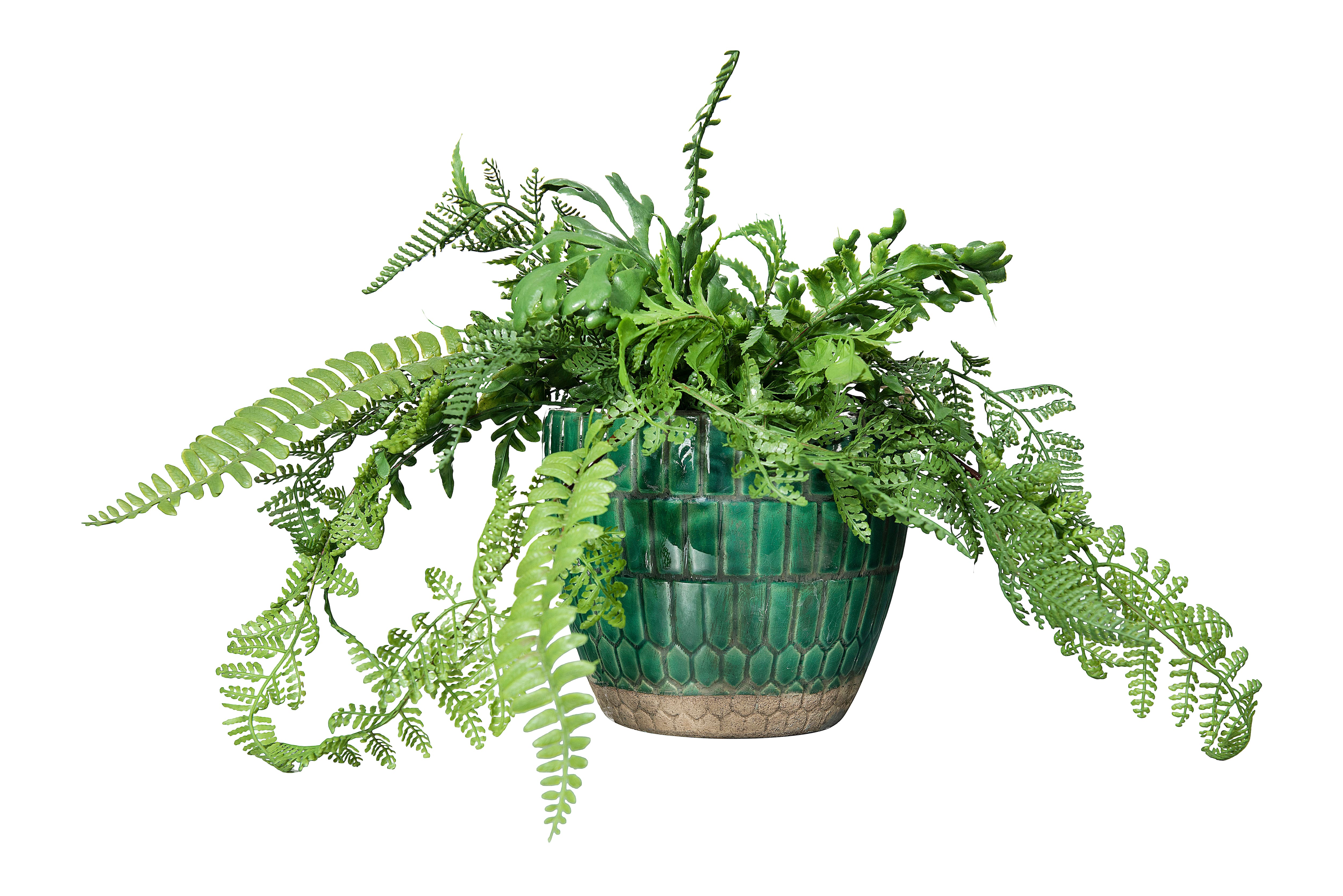 Hello Honey® Distressed Green Tile Terracotta Planter