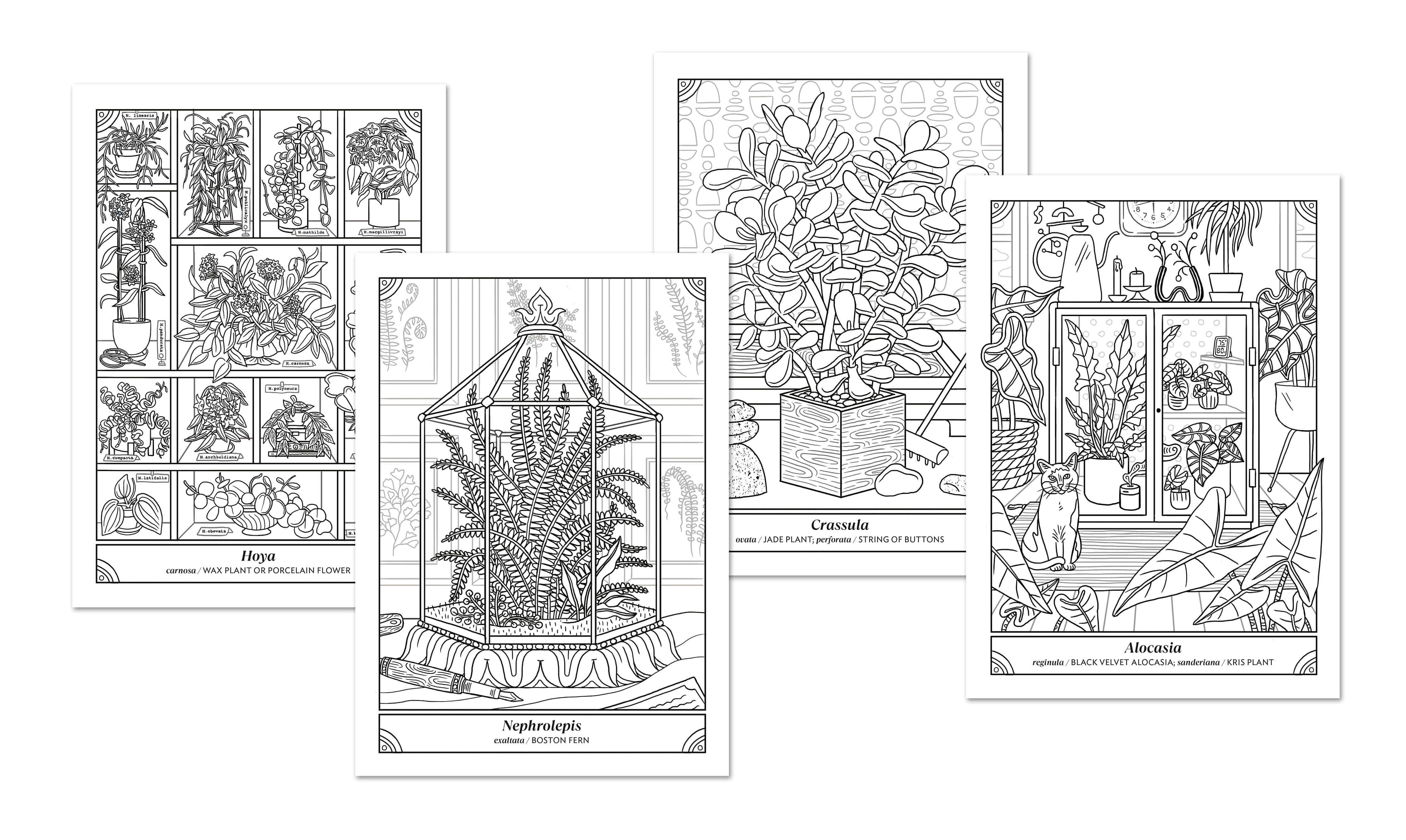 The Happy Houseplant Coloring Book: 50 Plants to Color & Care For