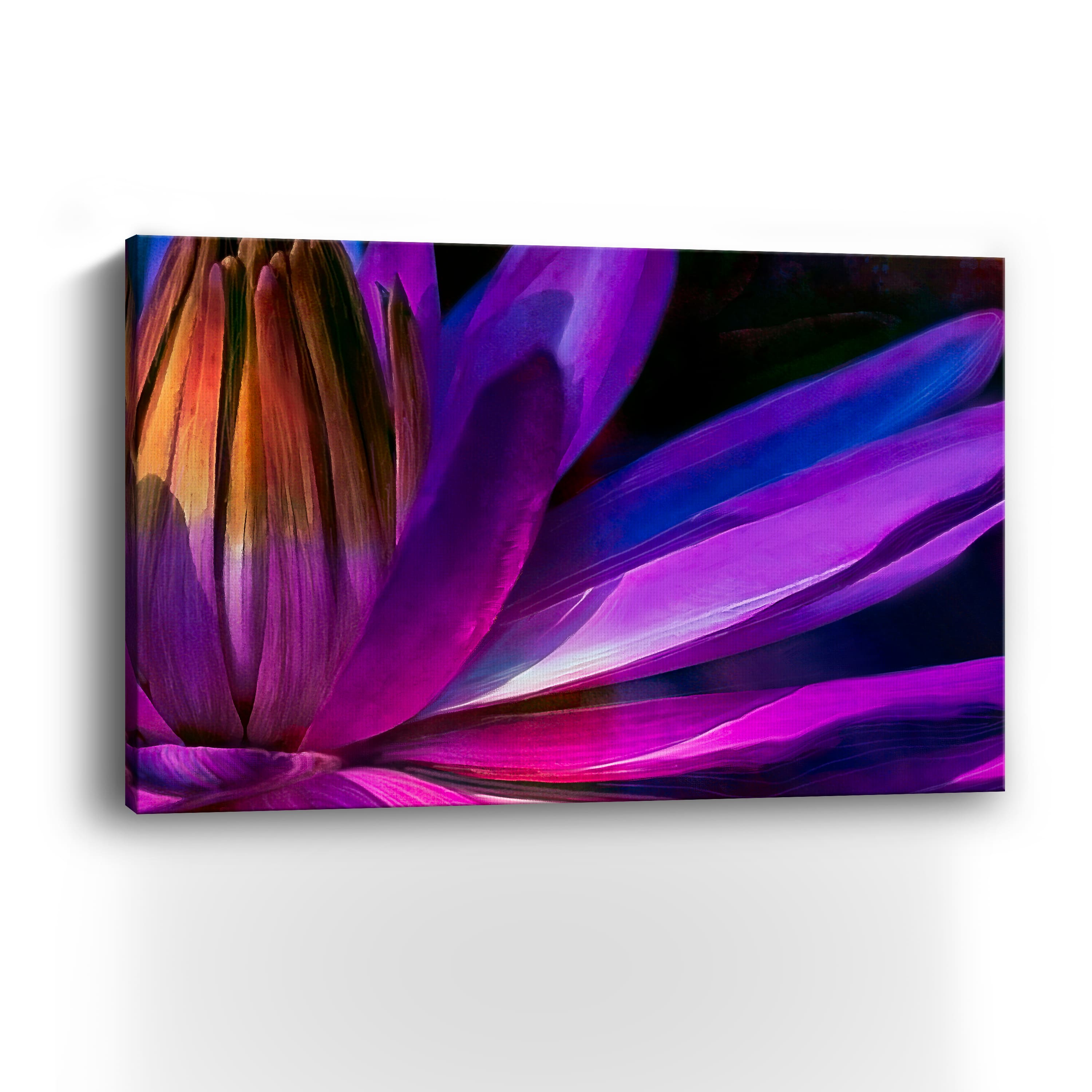 Retro Petals I Canvas Giclee