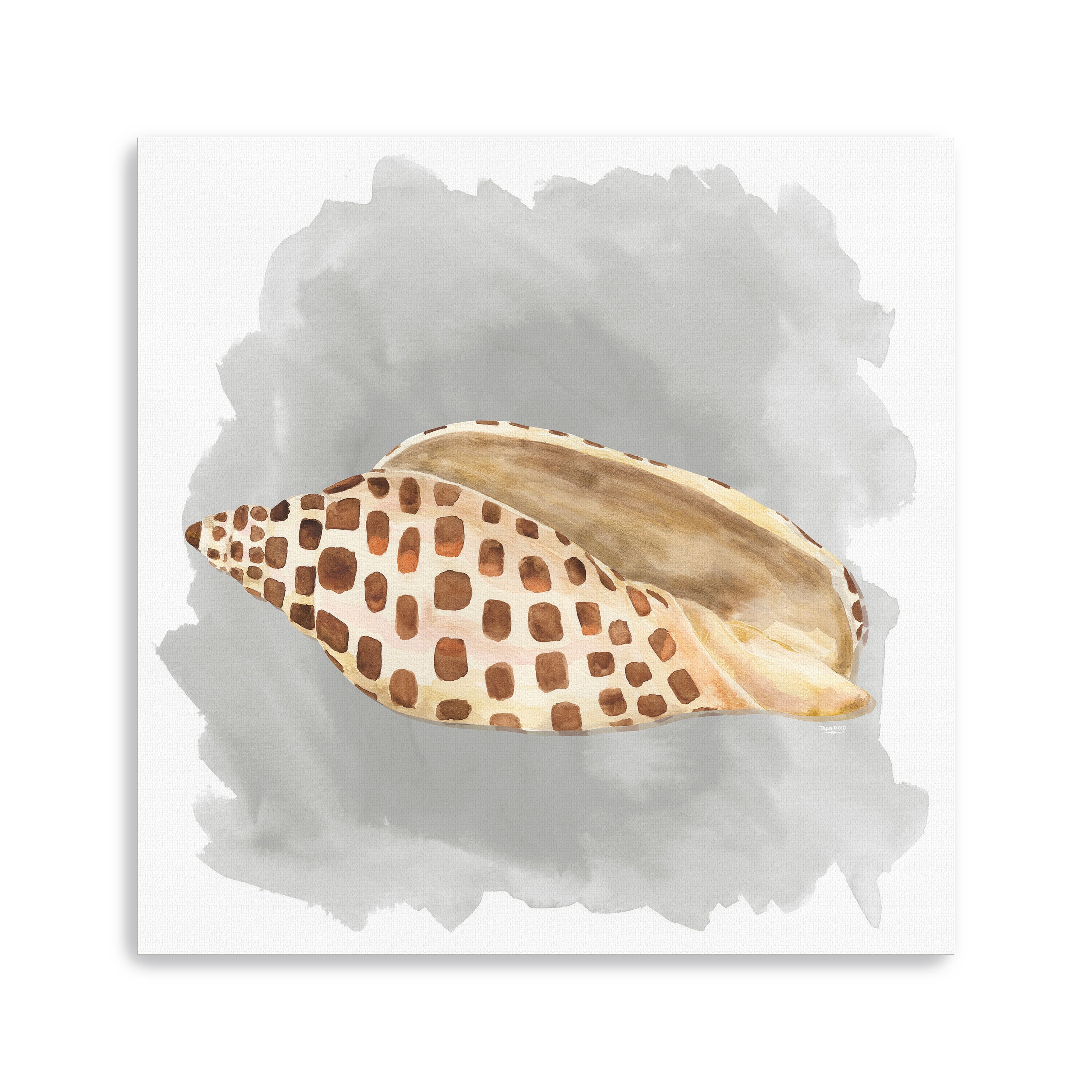 Shells On Grey I Canvas Giclee